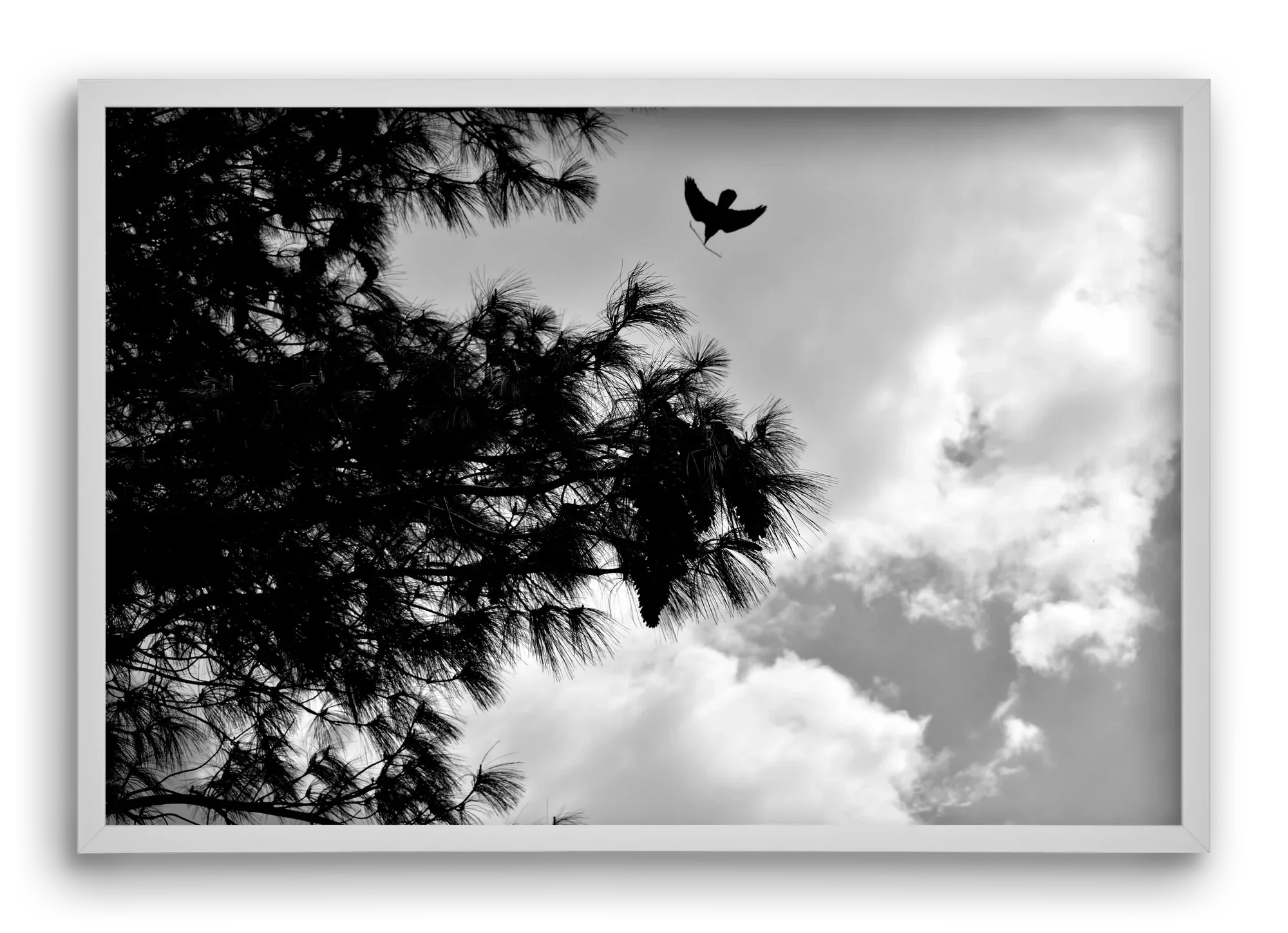 CARE - artbridge