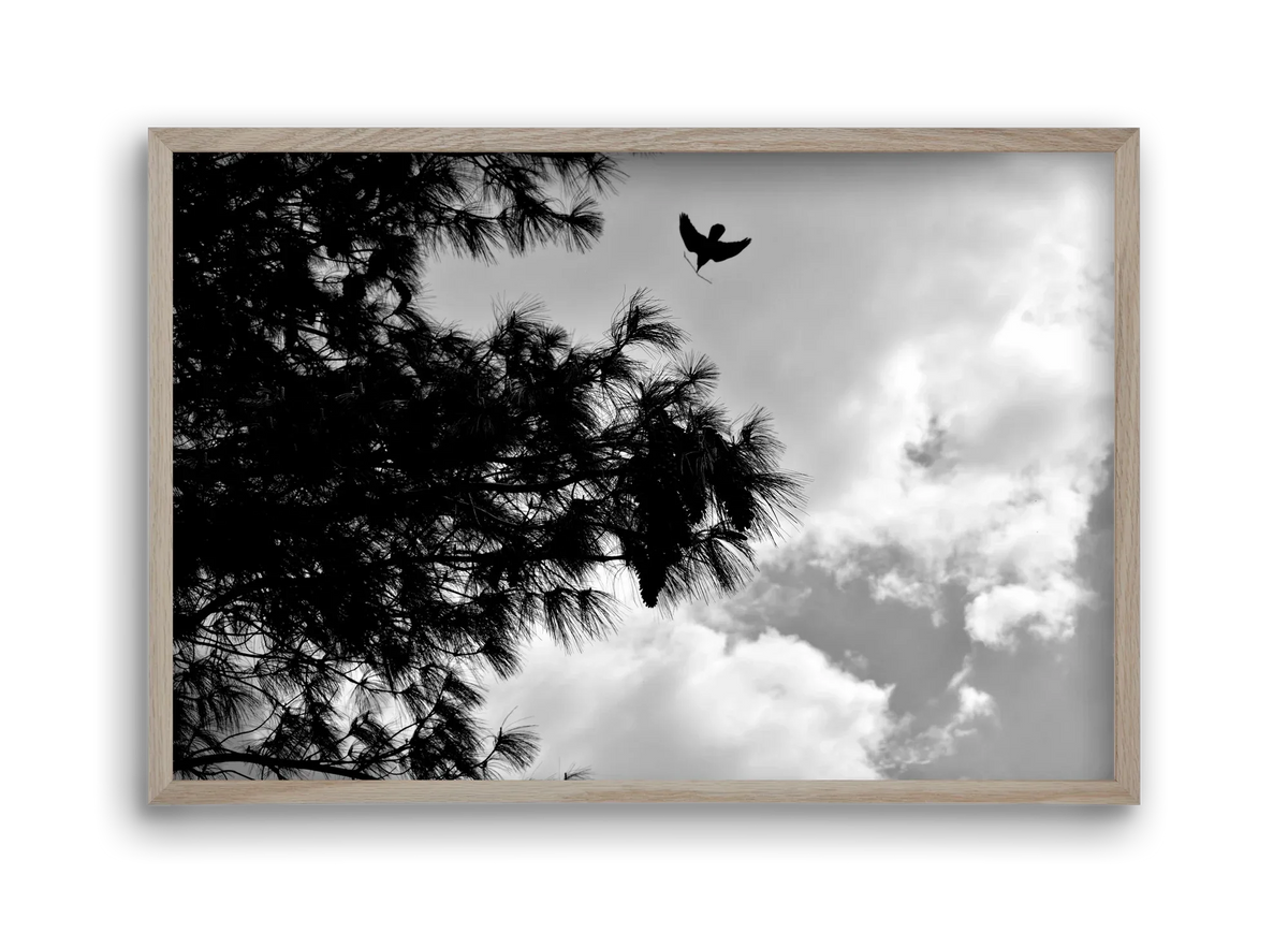 CARE - artbridge