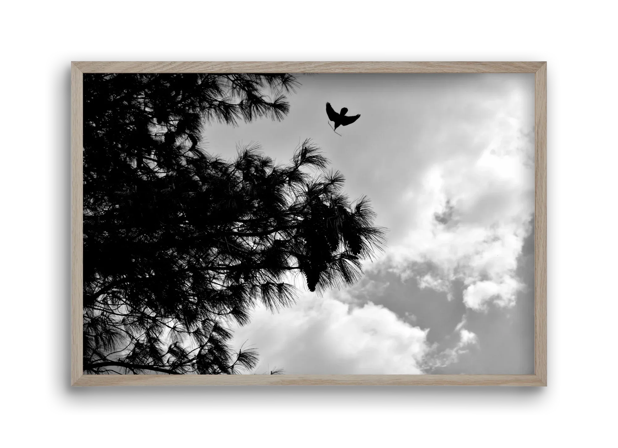 CARE - artbridge