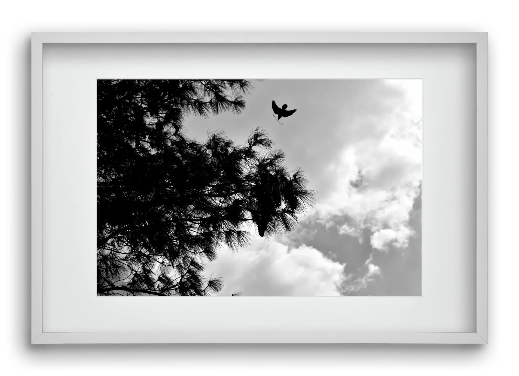 CARE - artbridge
