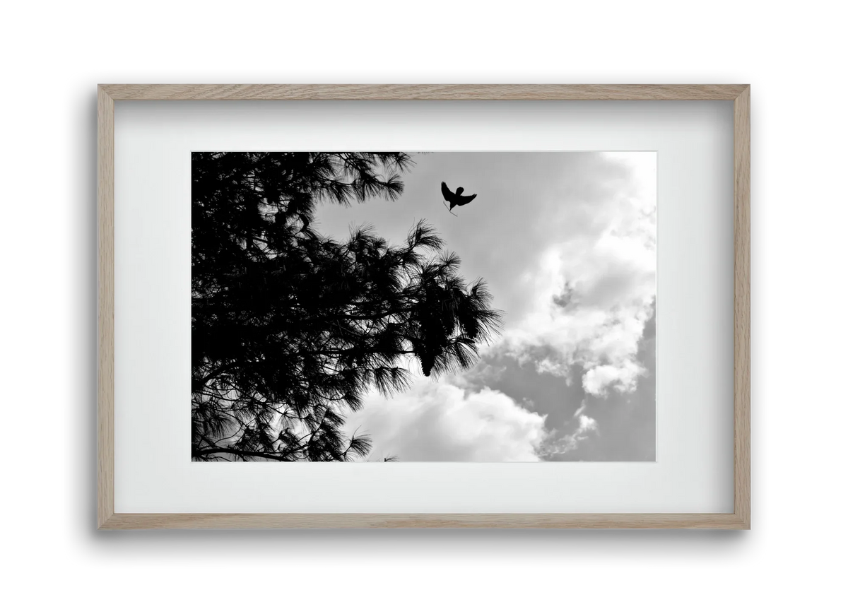 CARE - artbridge