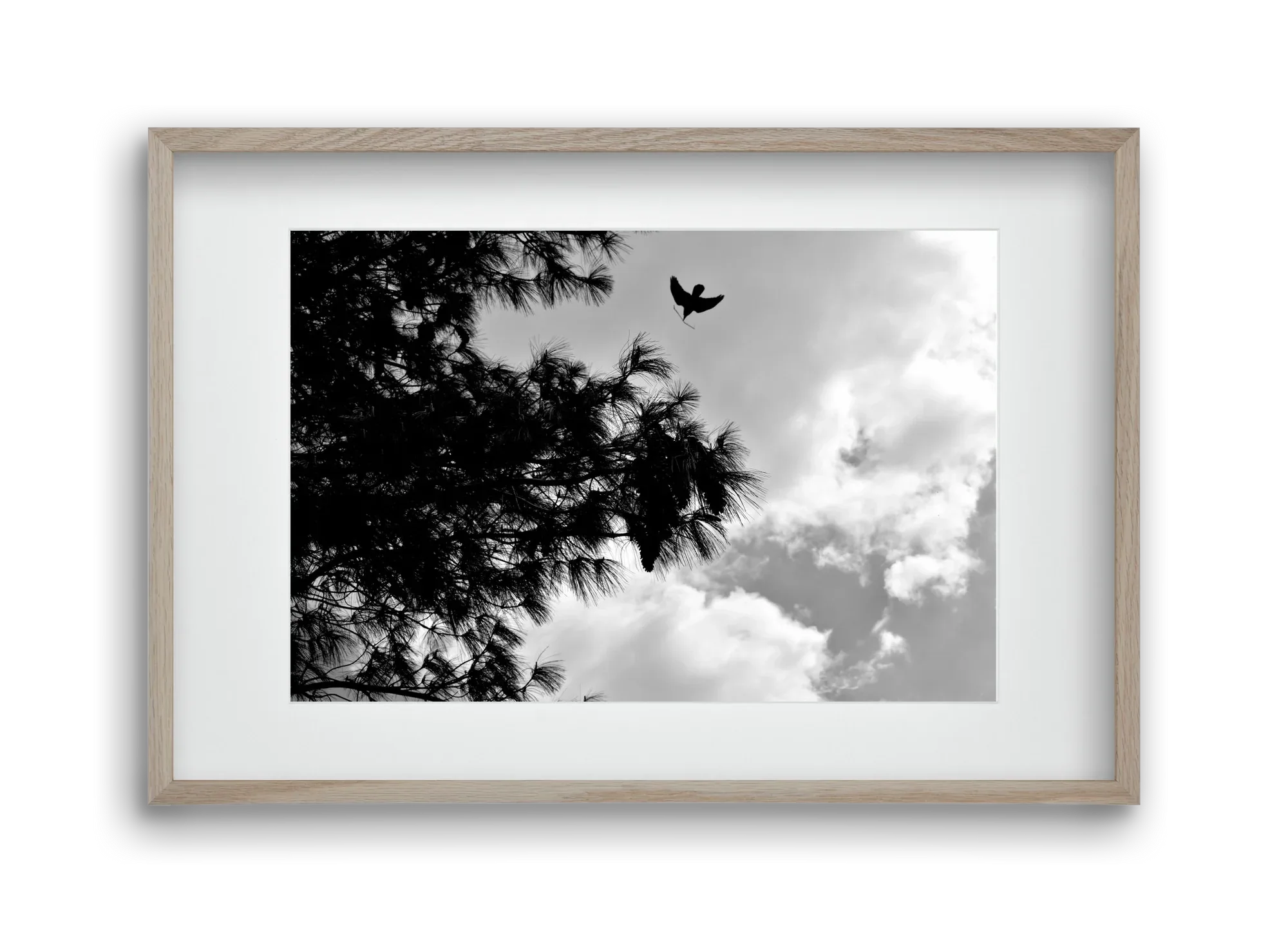 CARE - artbridge