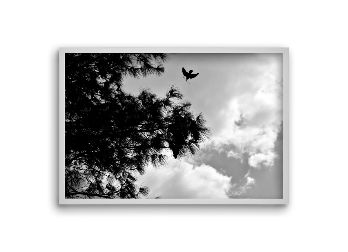 CARE - artbridge