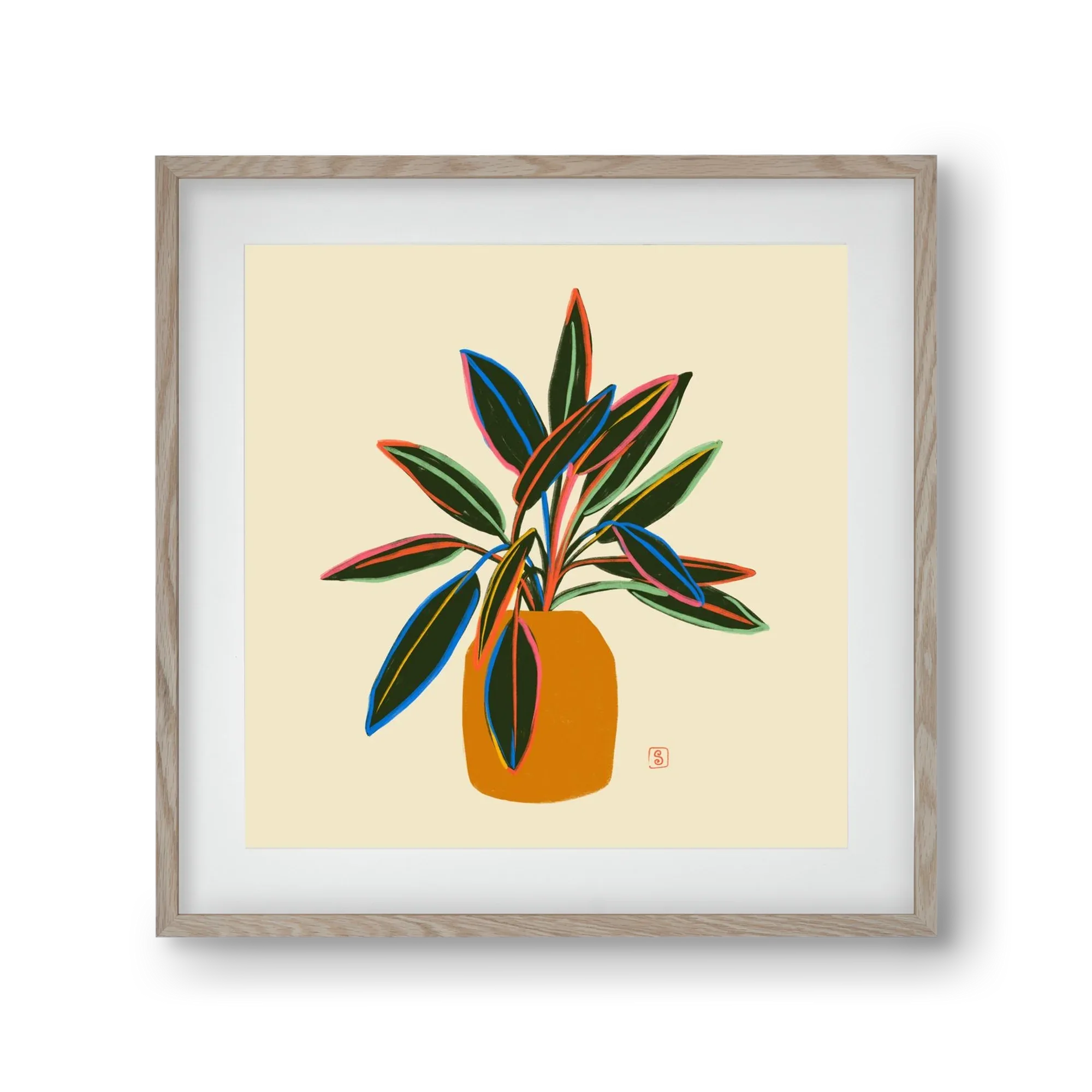 PLANT WITH COLOURFUL LEAVES - artbridge