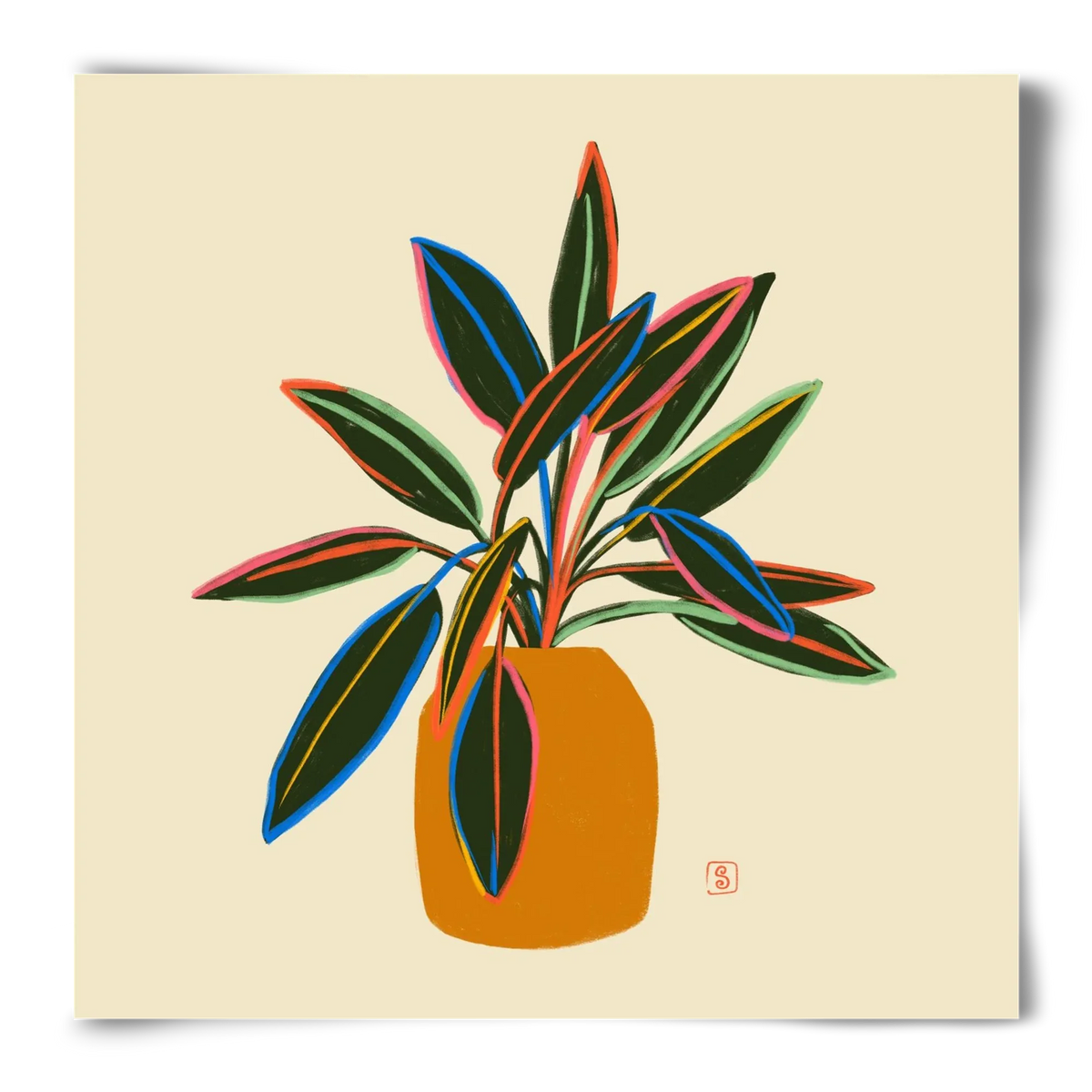 PLANT WITH COLOURFUL LEAVES - artbridge