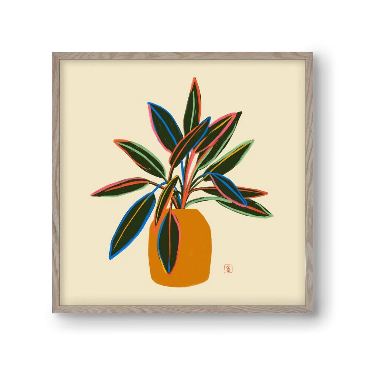 PLANT WITH COLOURFUL LEAVES - artbridge