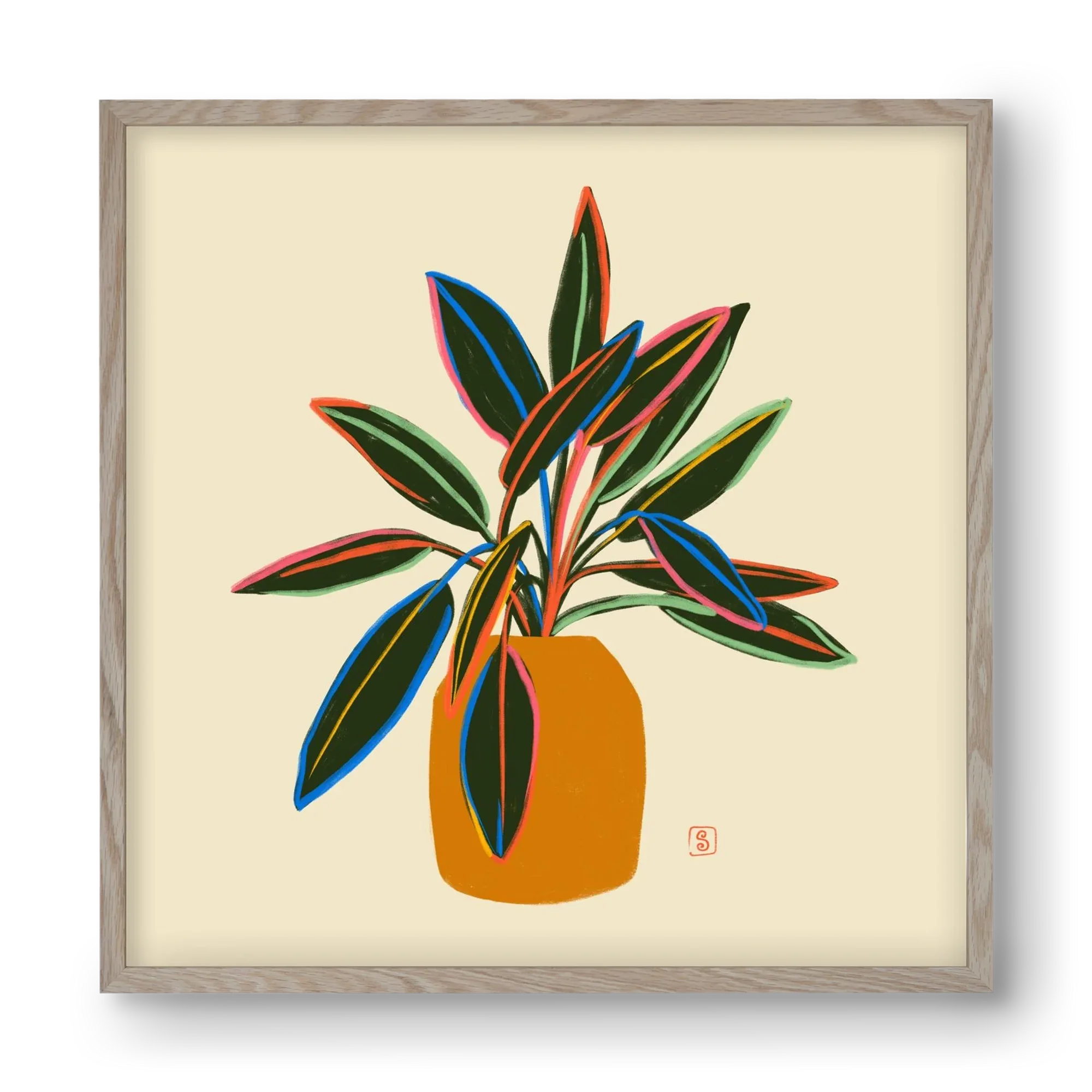 PLANT WITH COLOURFUL LEAVES - artbridge