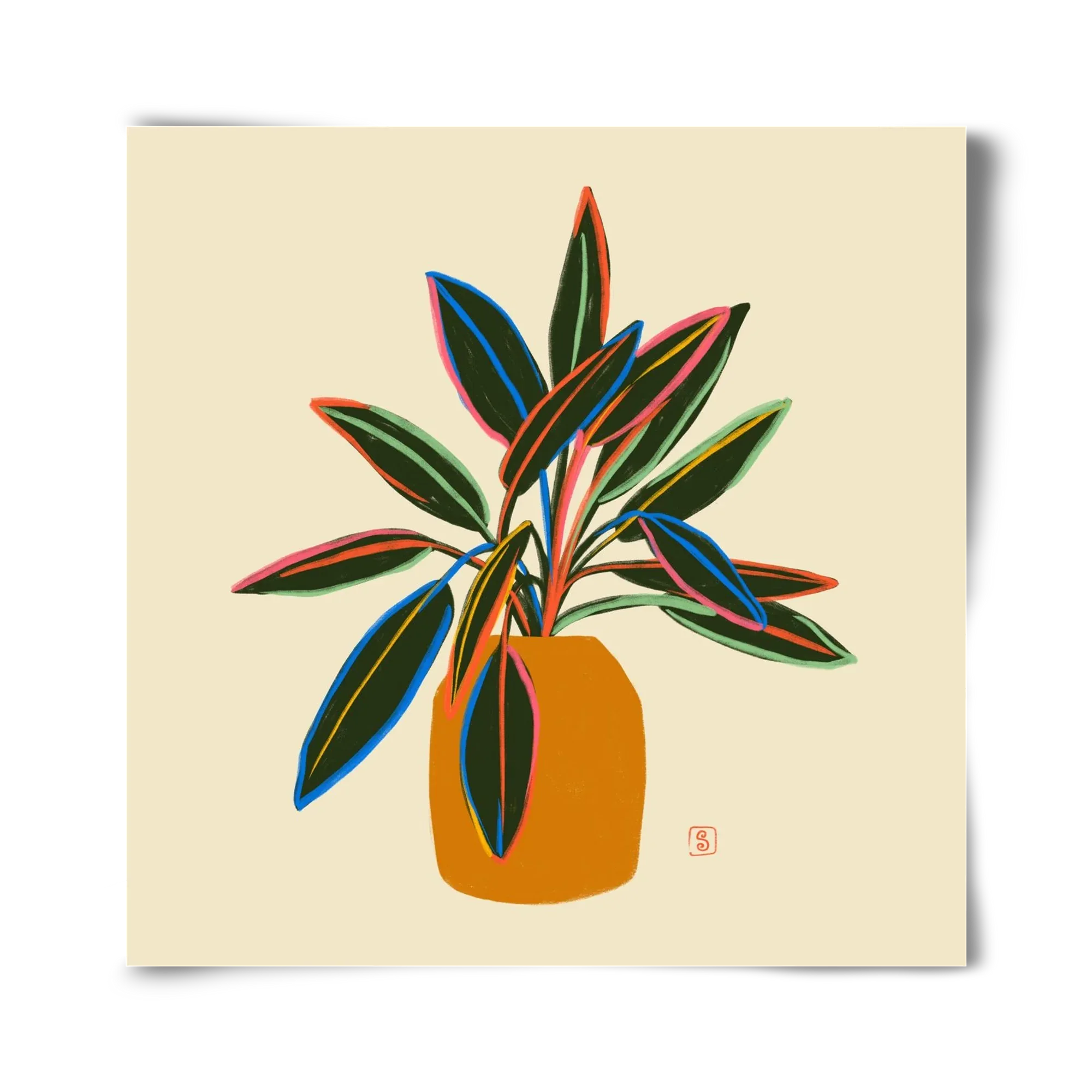 PLANT WITH COLOURFUL LEAVES - artbridge