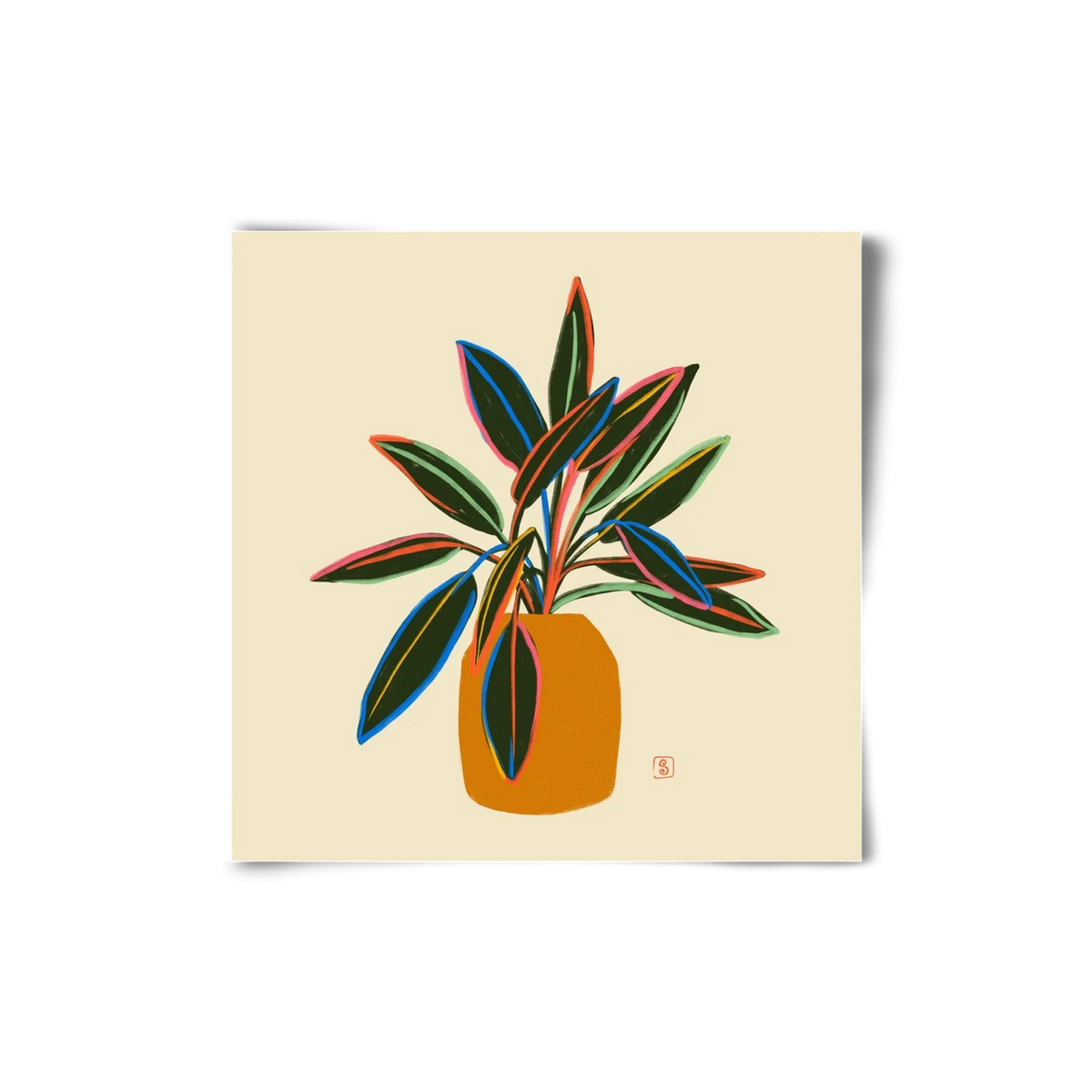 PLANT WITH COLOURFUL LEAVES - artbridge