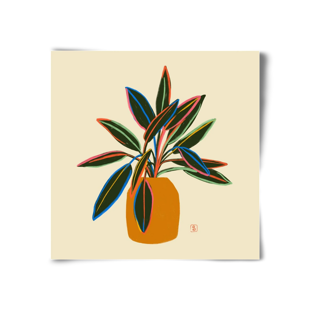 PLANT WITH COLOURFUL LEAVES - artbridge