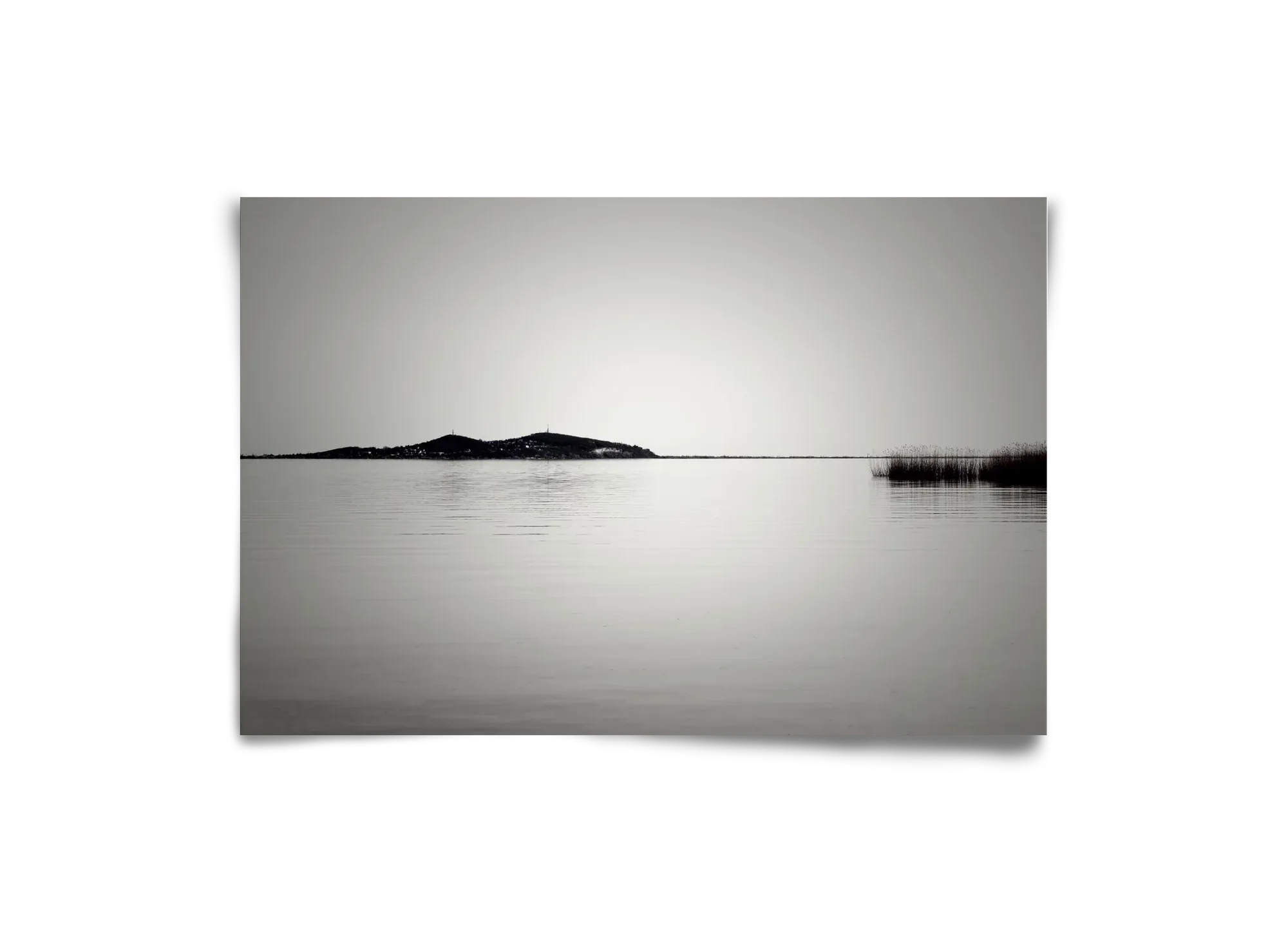 Balance - artbridge