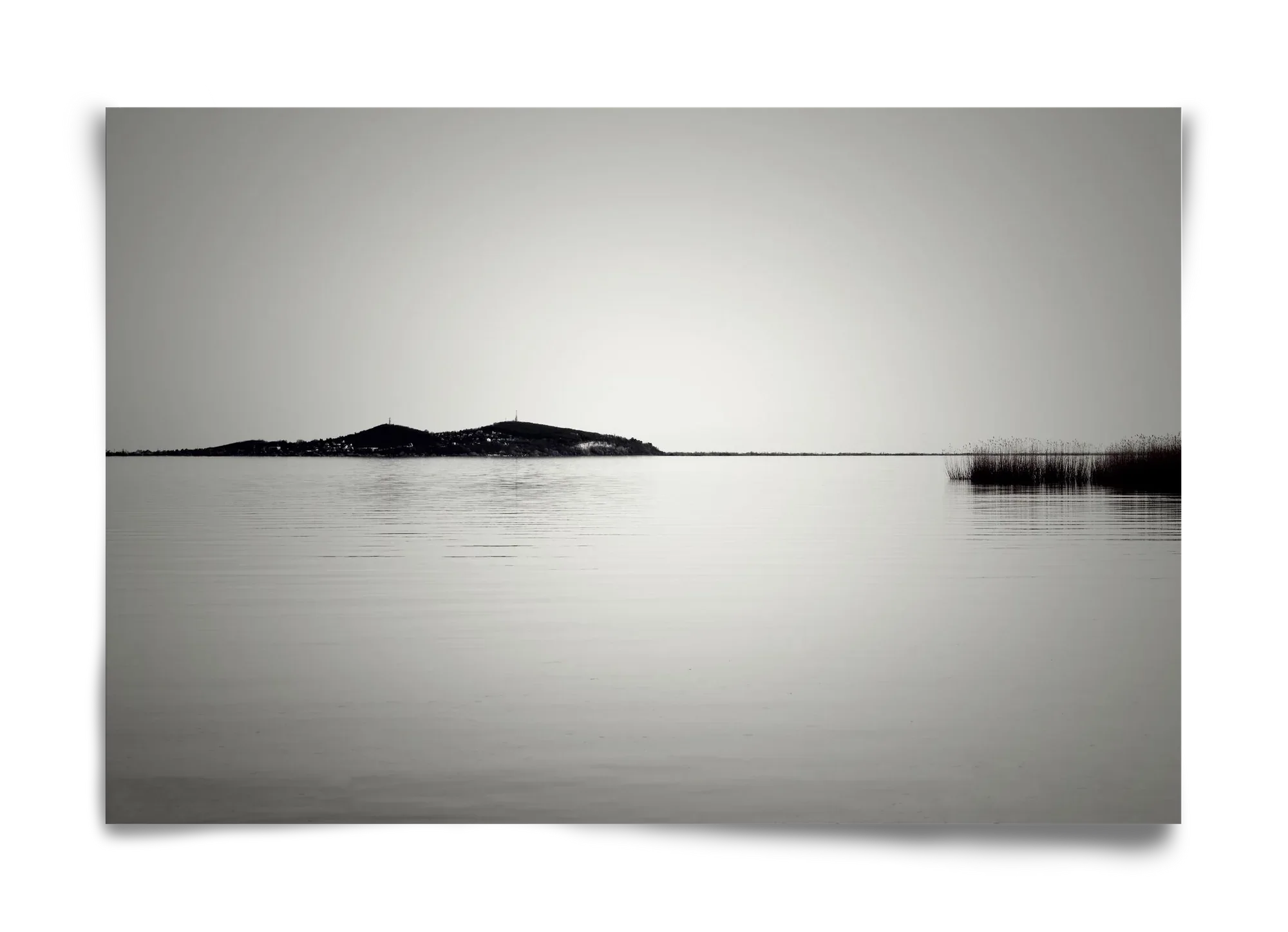 Balance - artbridge