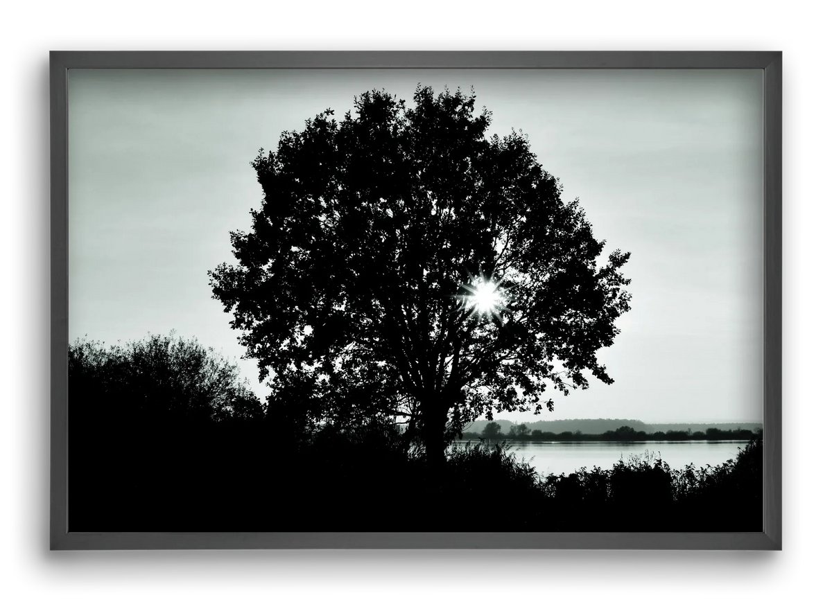 with heart - artbridge