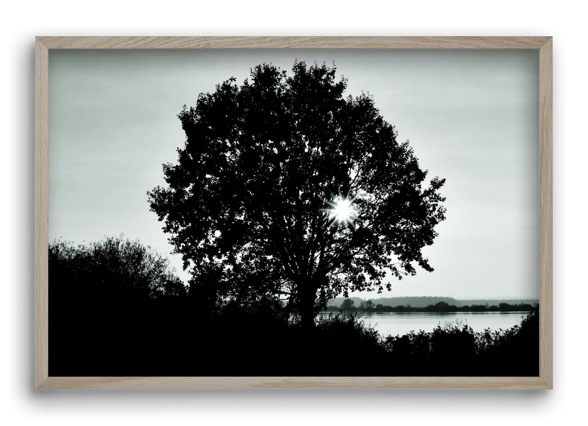 with heart - artbridge