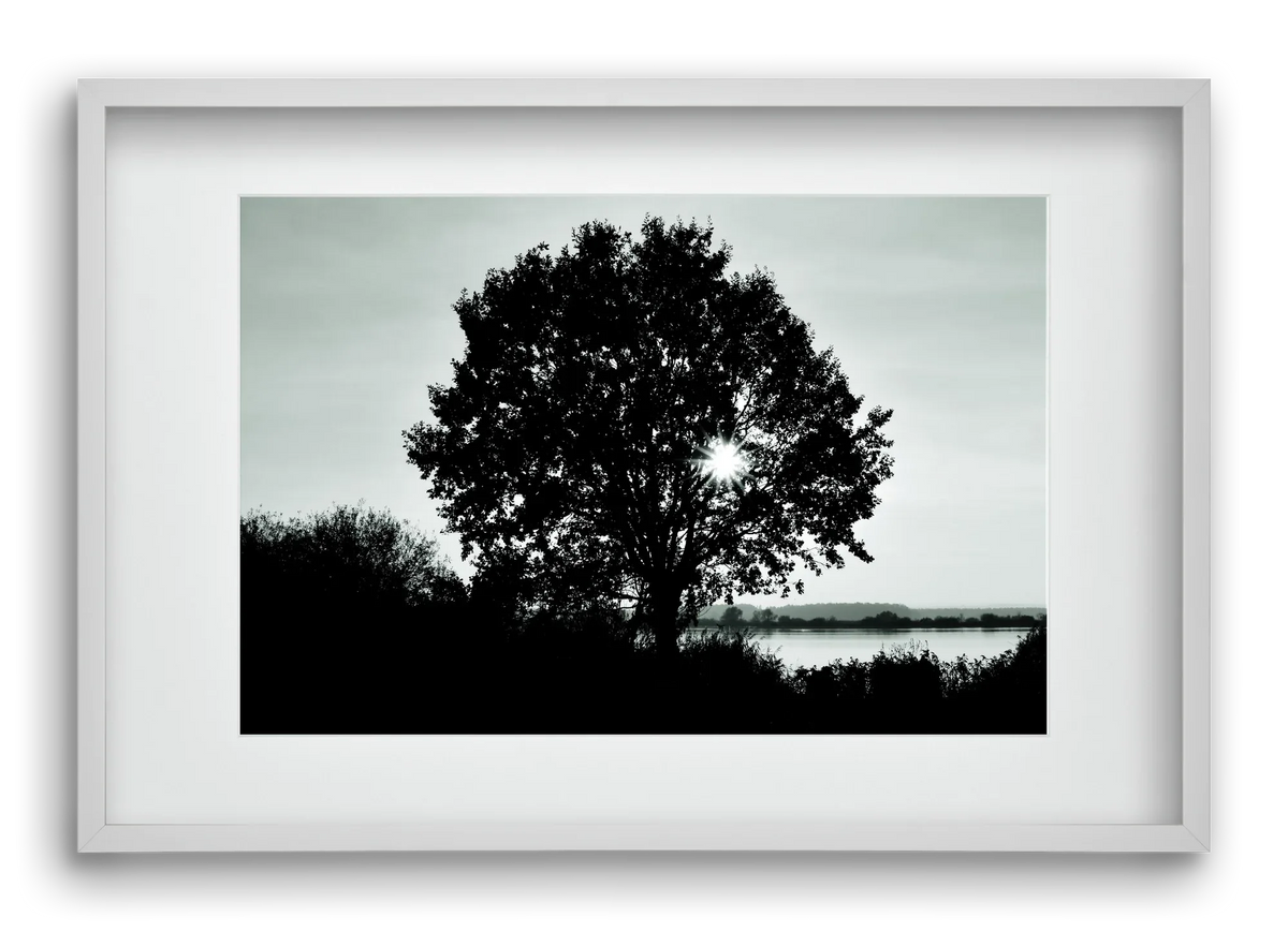 with heart - artbridge