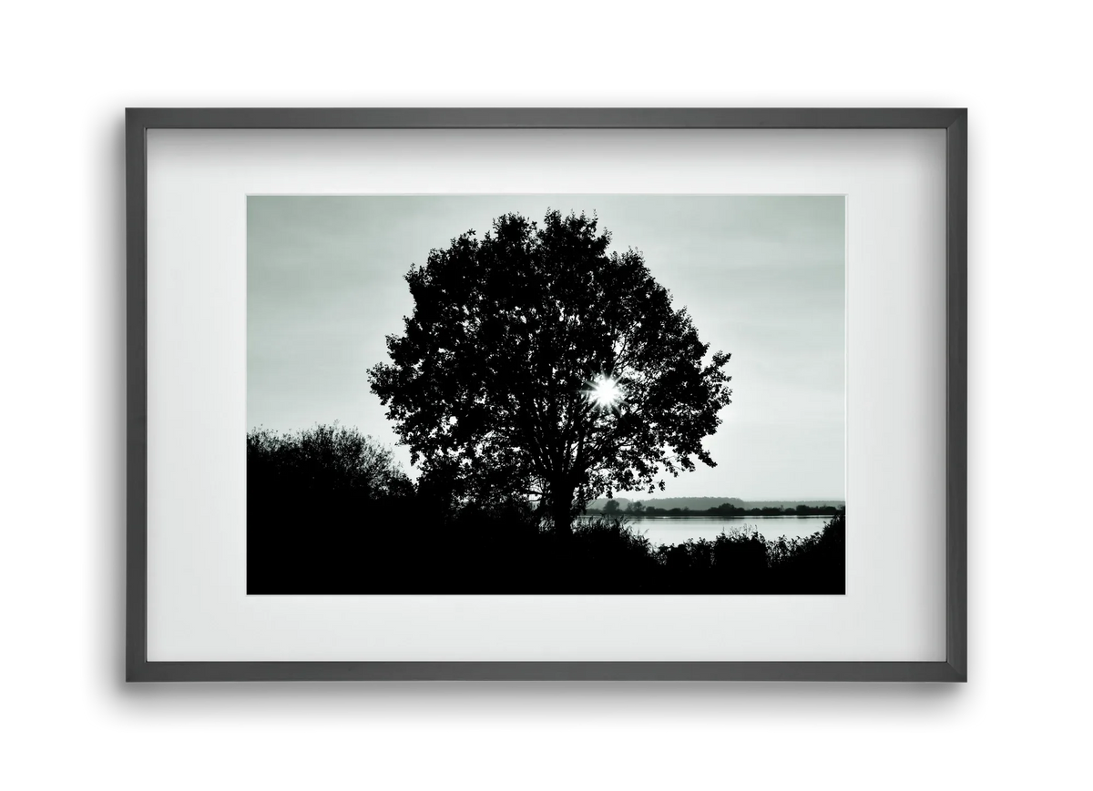 with heart - artbridge