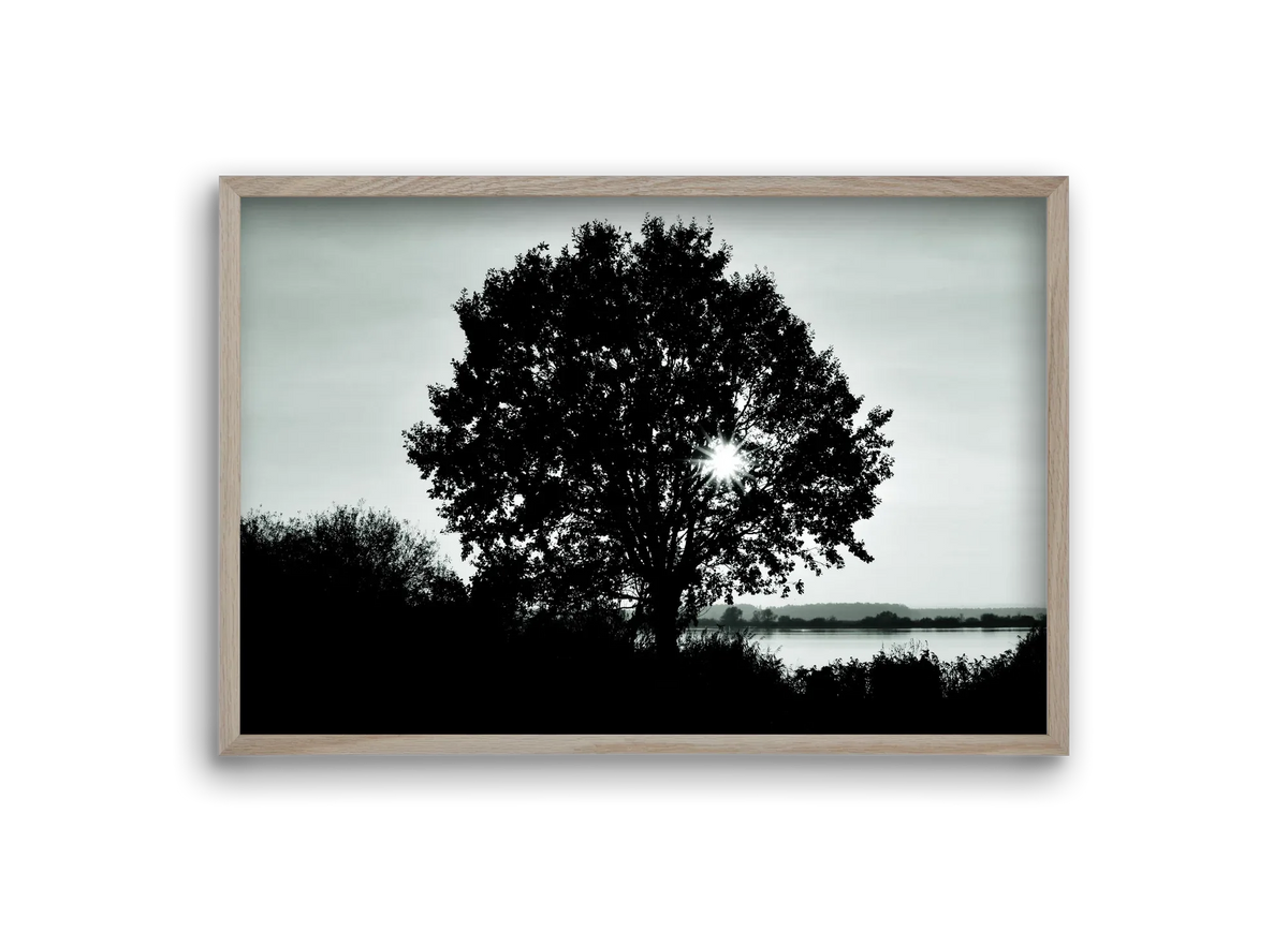 with heart - artbridge