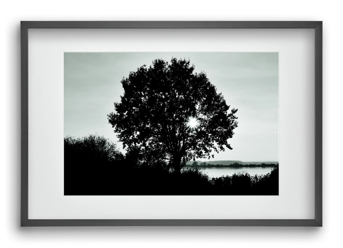 with heart - artbridge