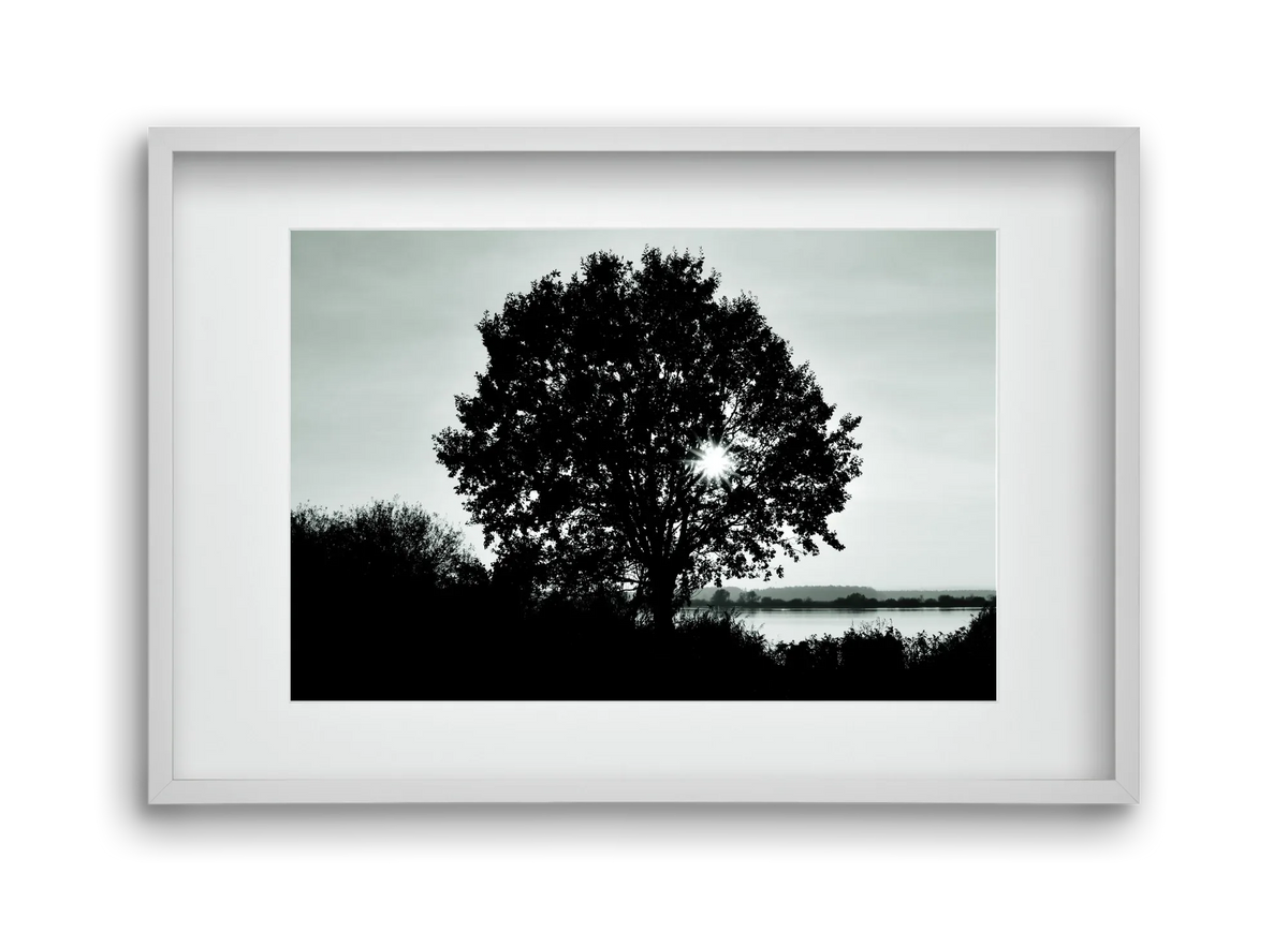 with heart - artbridge