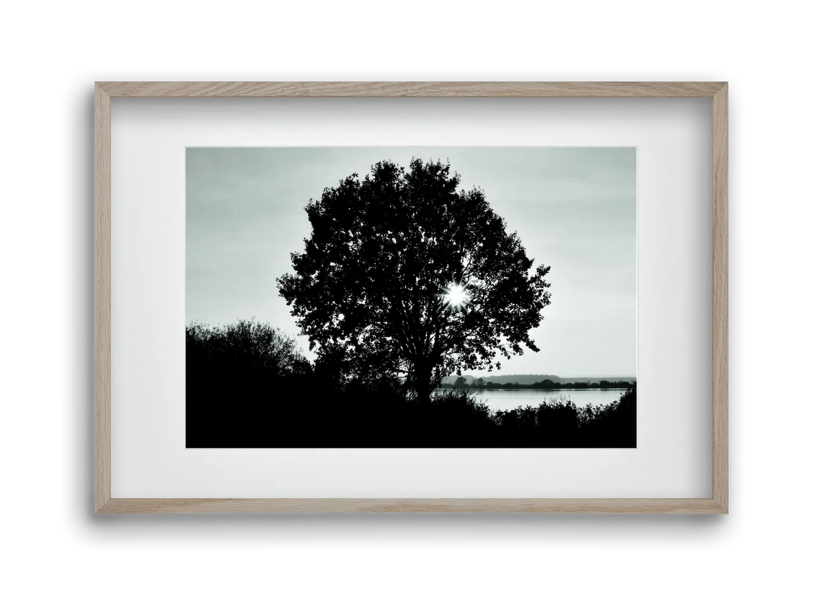 with heart - artbridge
