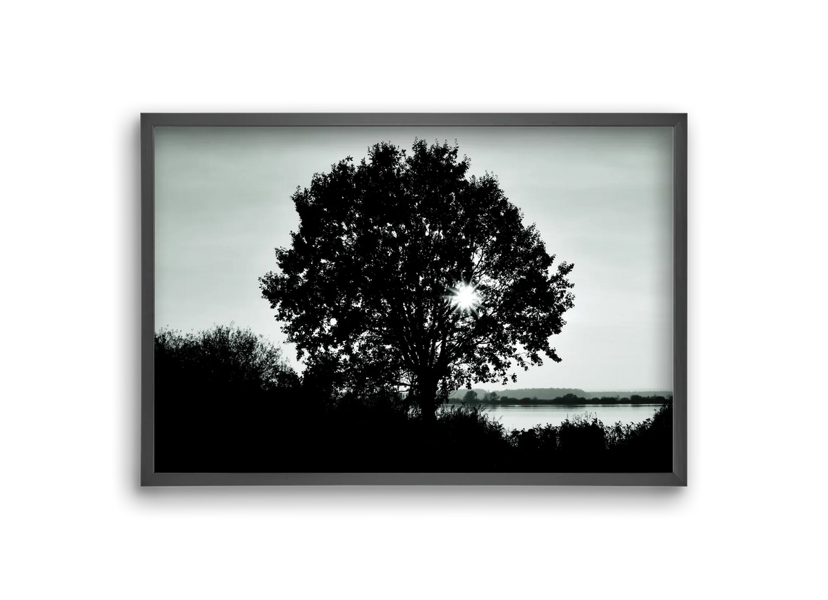 with heart - artbridge