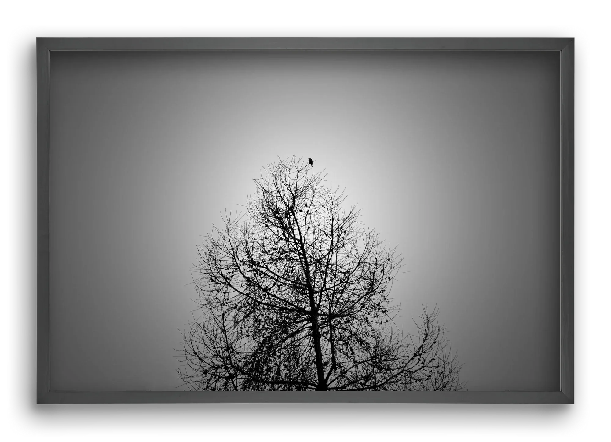 Aurora - artbridge
