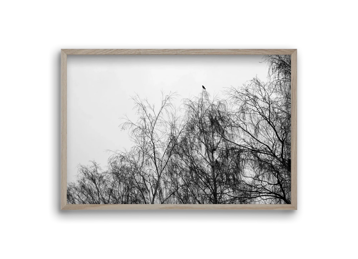Poeta - artbridge