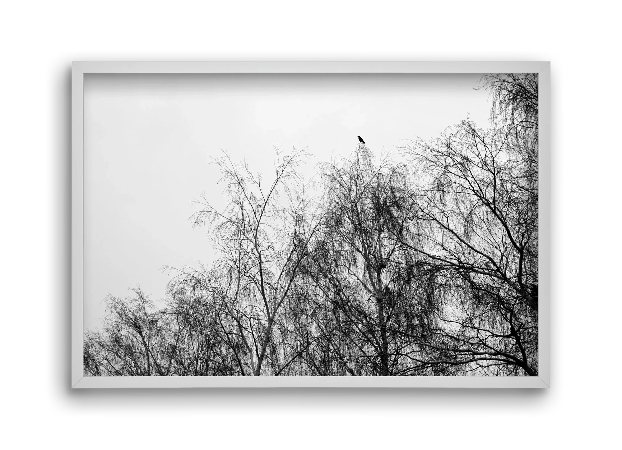 Poeta - artbridge