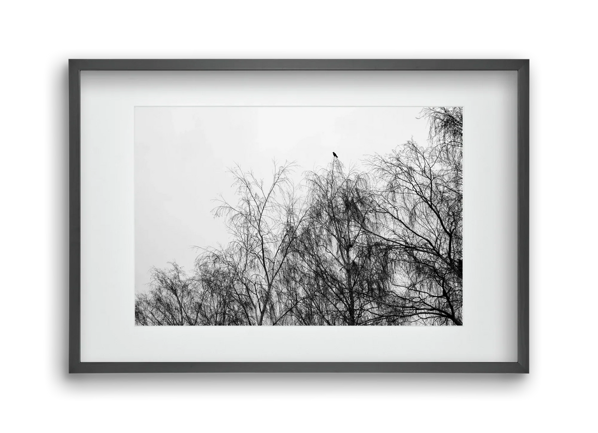 Poeta - artbridge