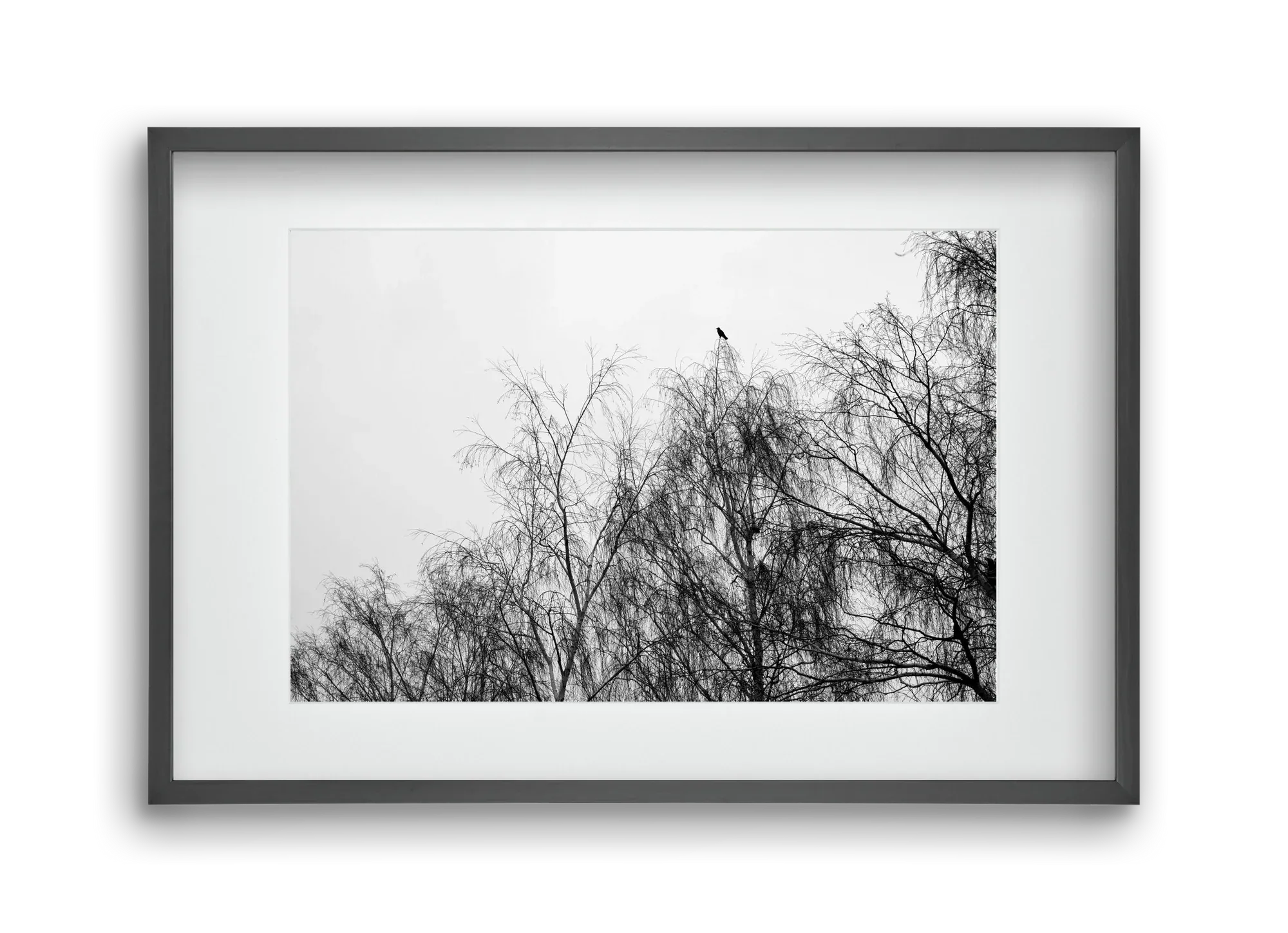Poeta - artbridge