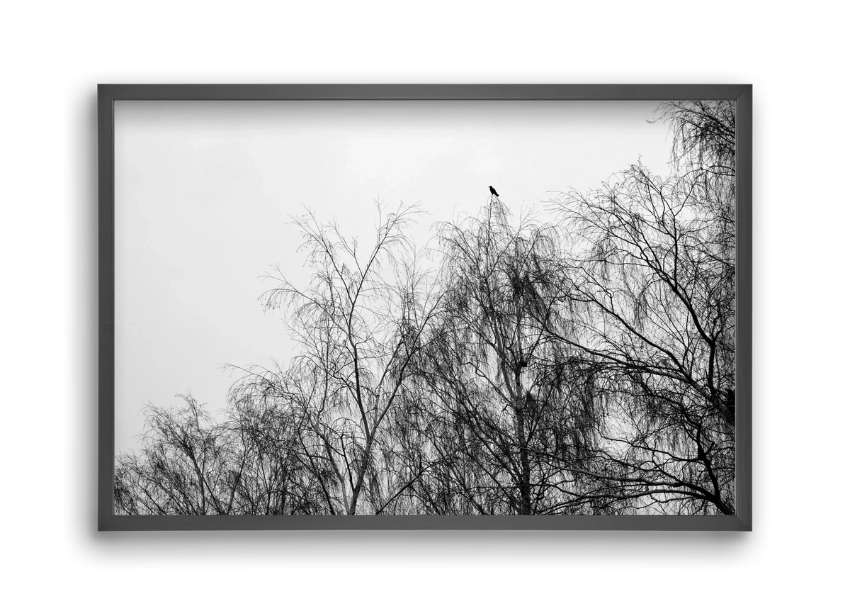 Poeta - artbridge