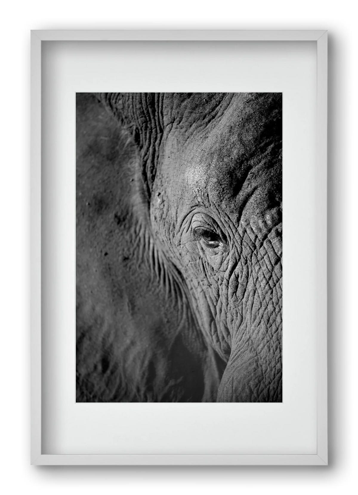 african dream - artbridge