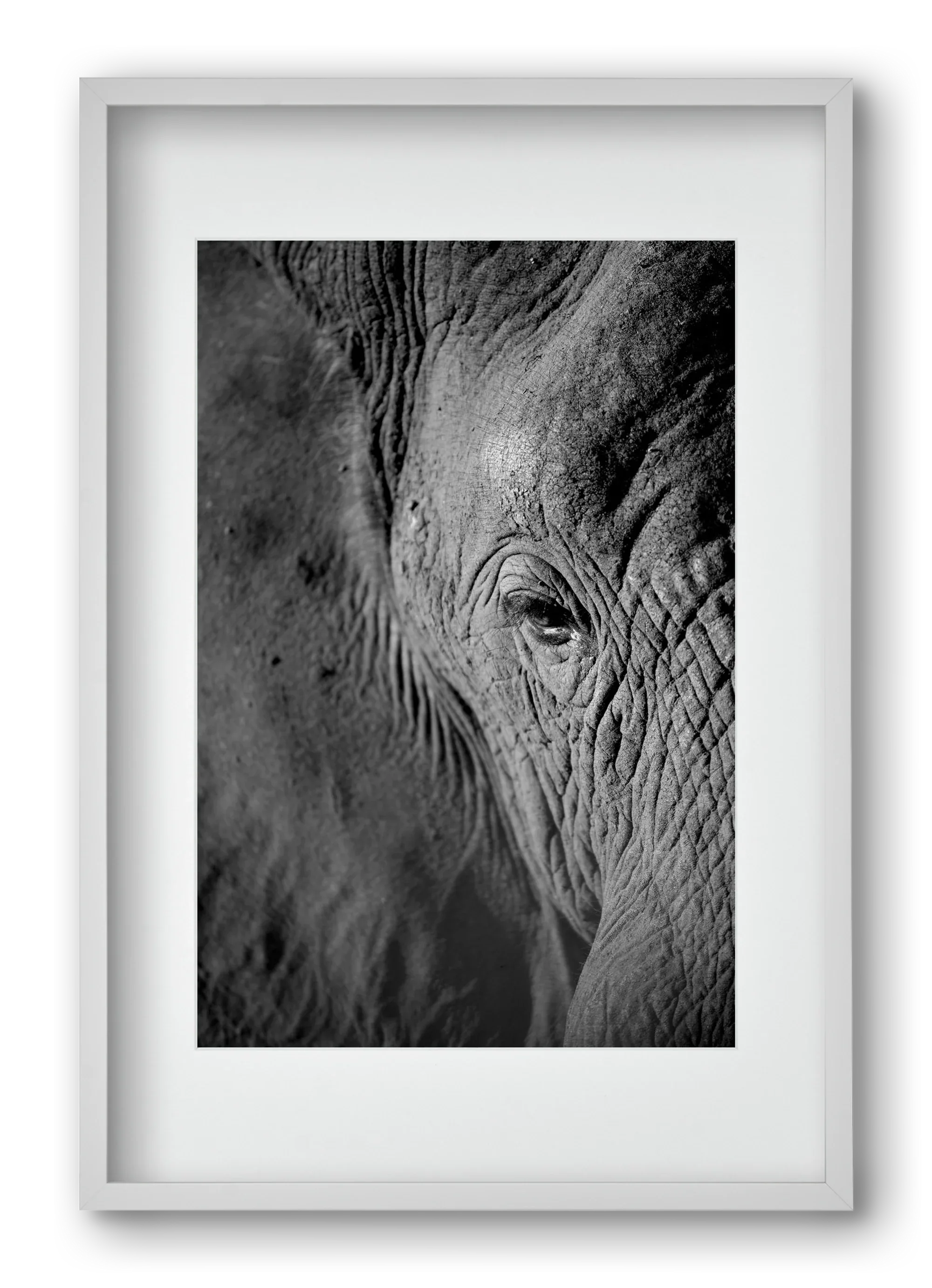 african dream - artbridge