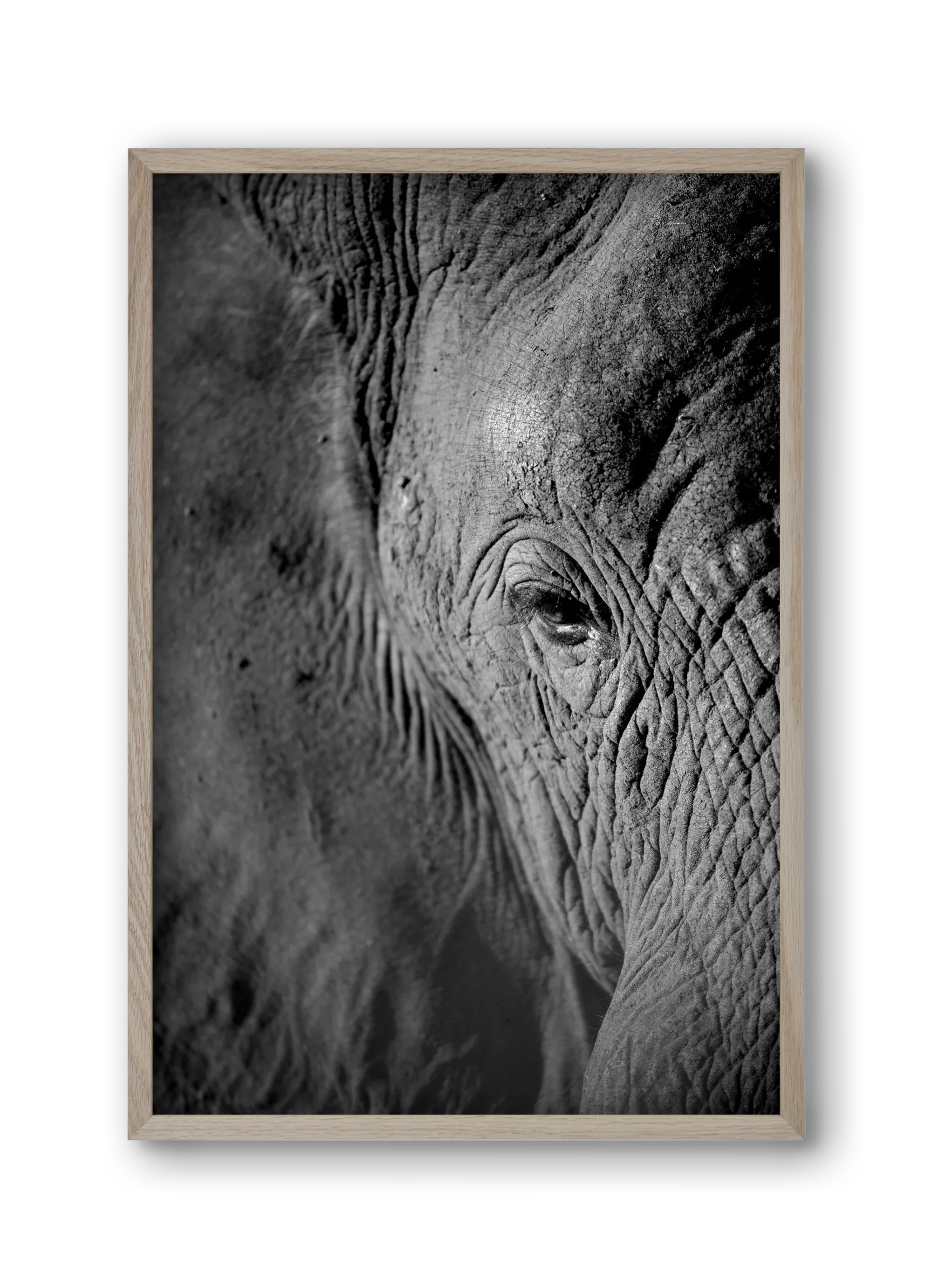 african dream - artbridge