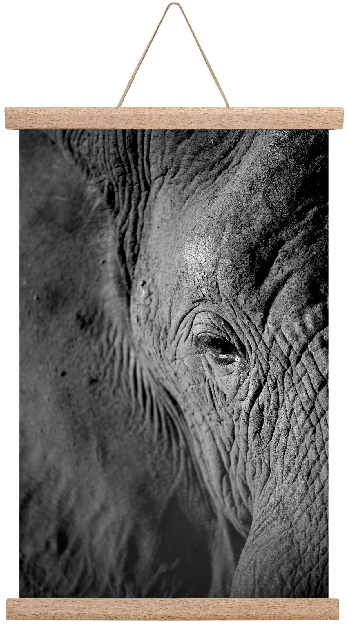 african dream - artbridge