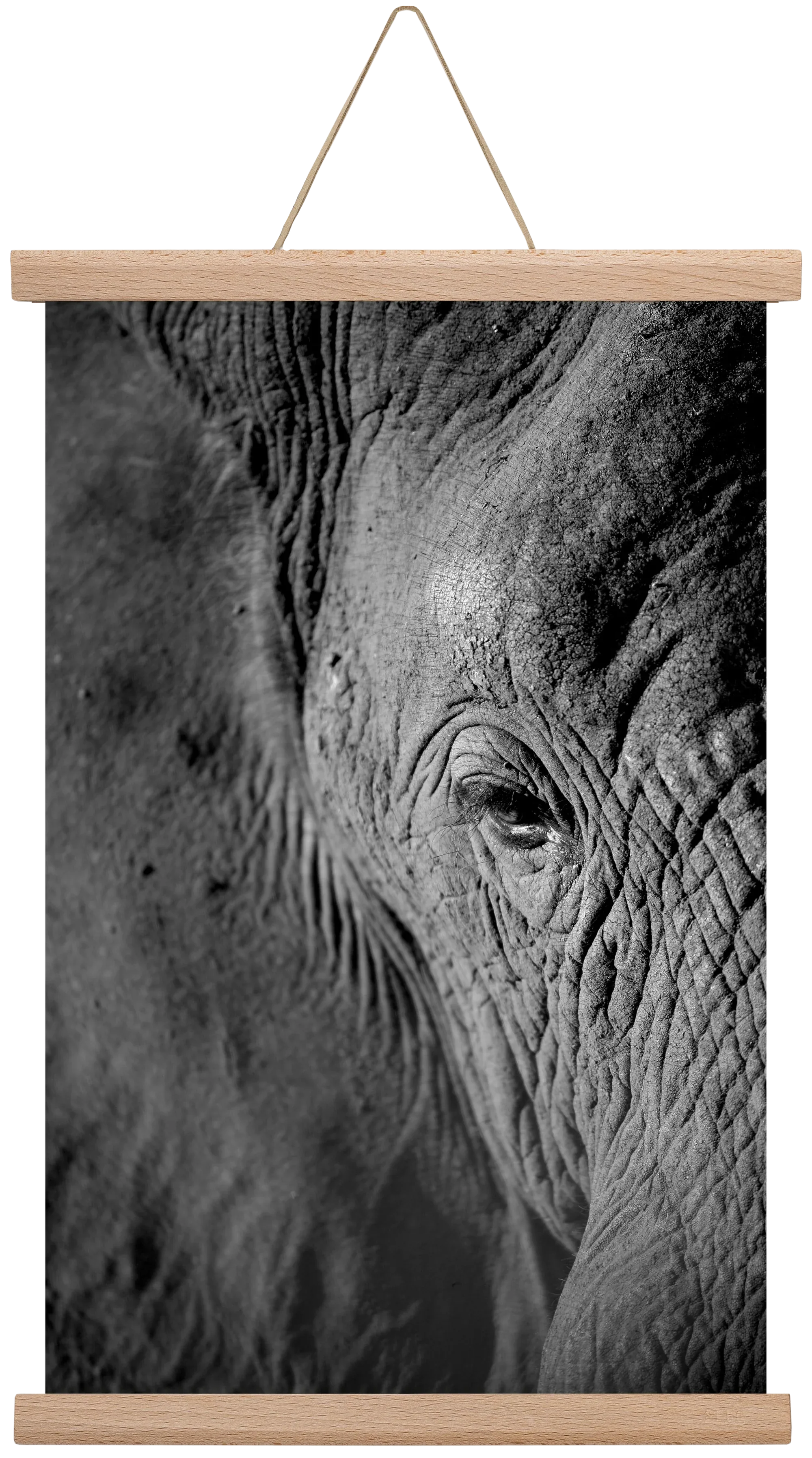 african dream - artbridge