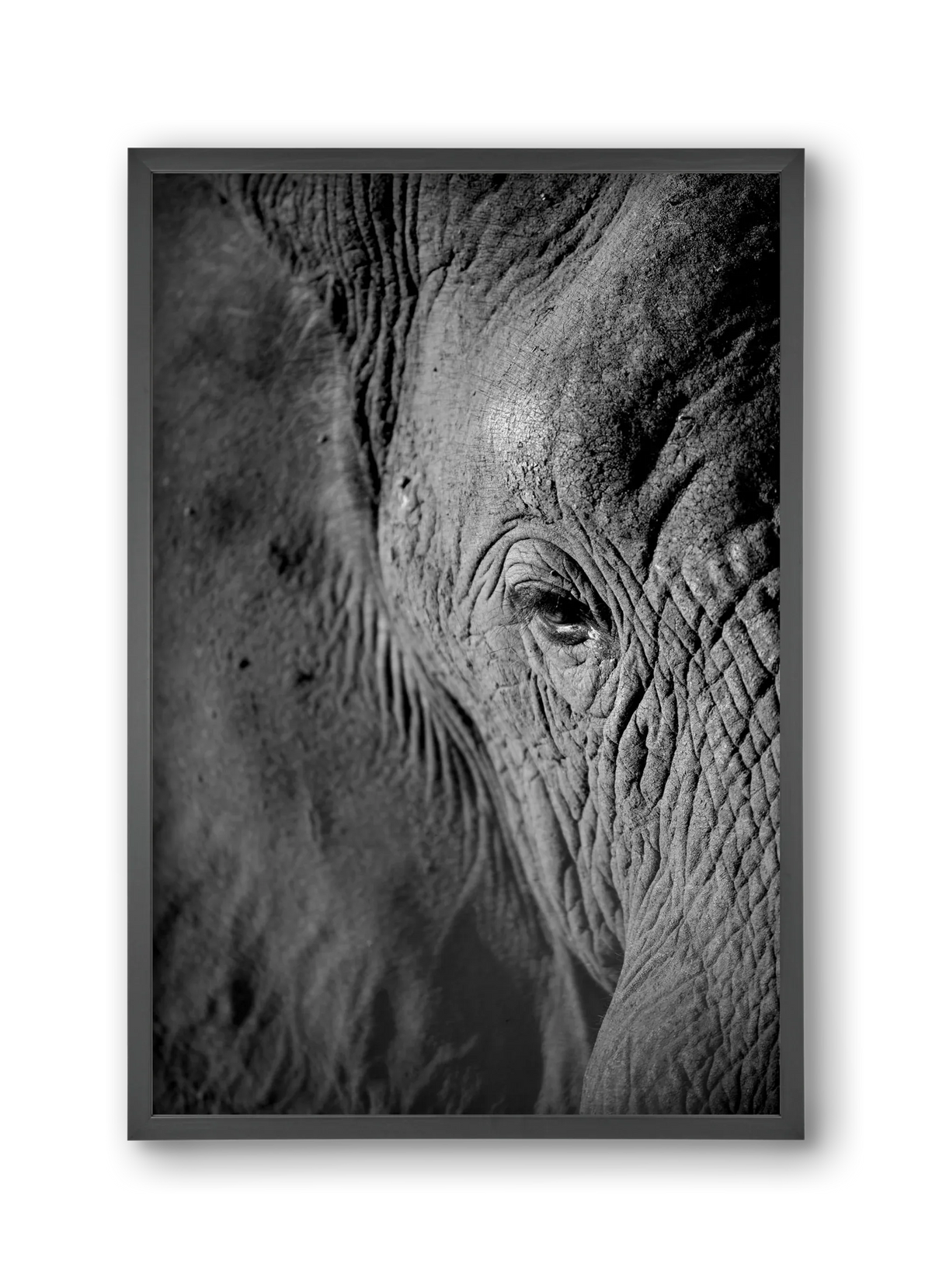 african dream - artbridge
