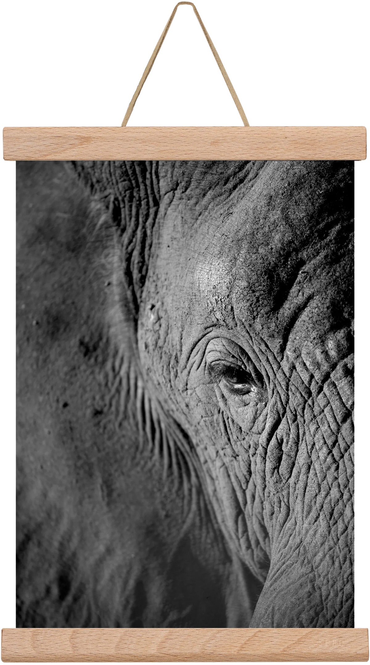 african dream - artbridge
