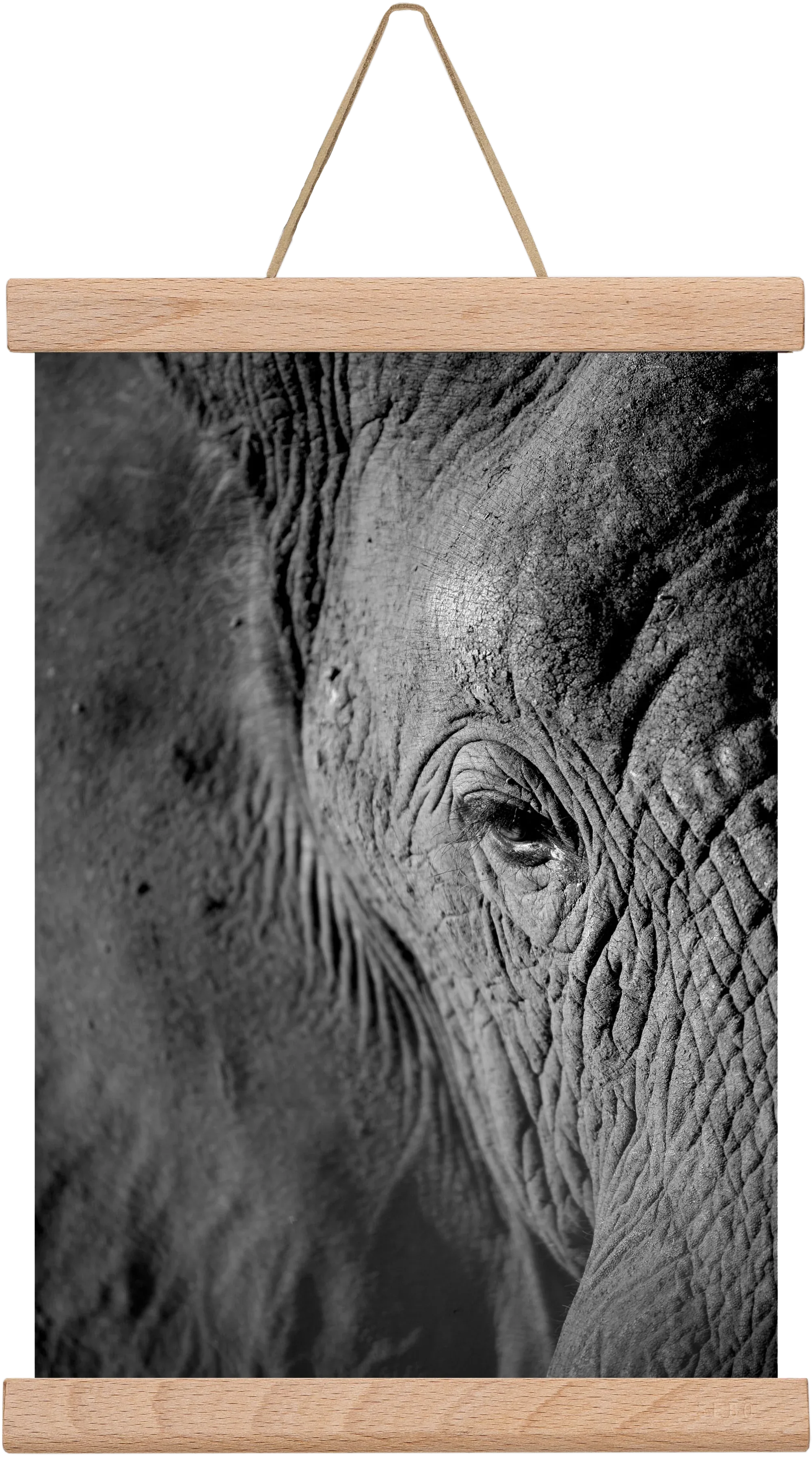 african dream - artbridge