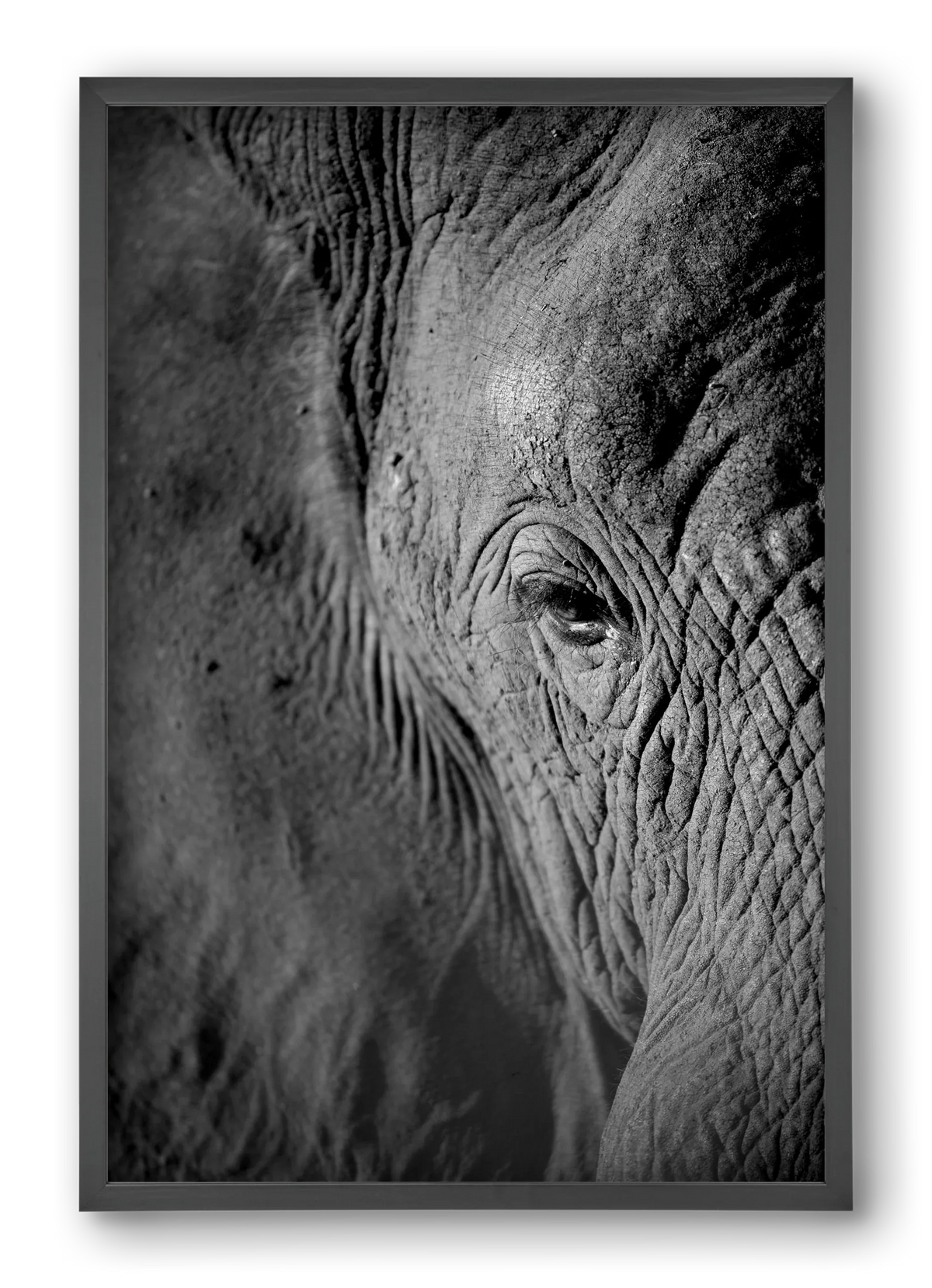 african dream - artbridge