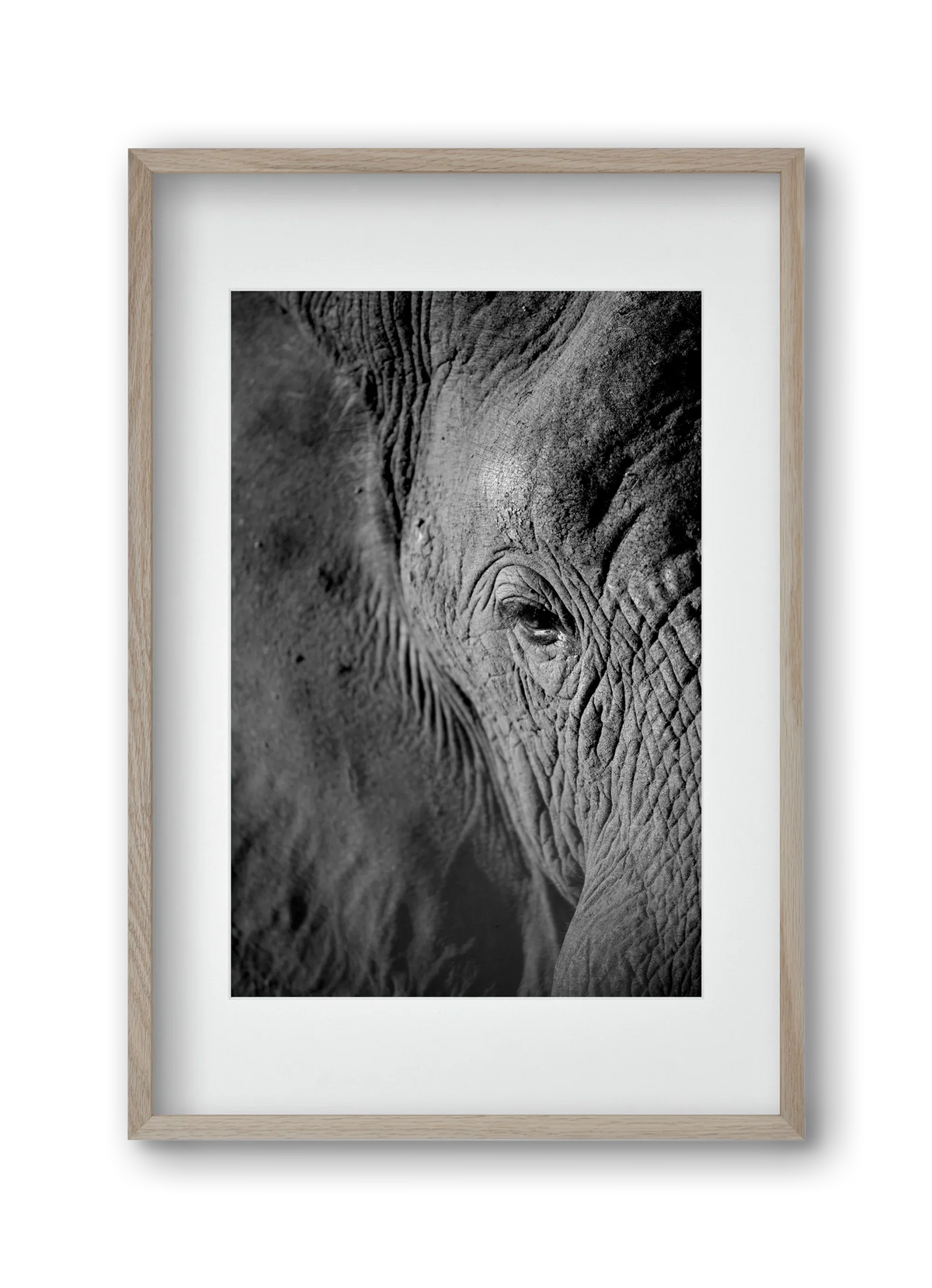 african dream - artbridge