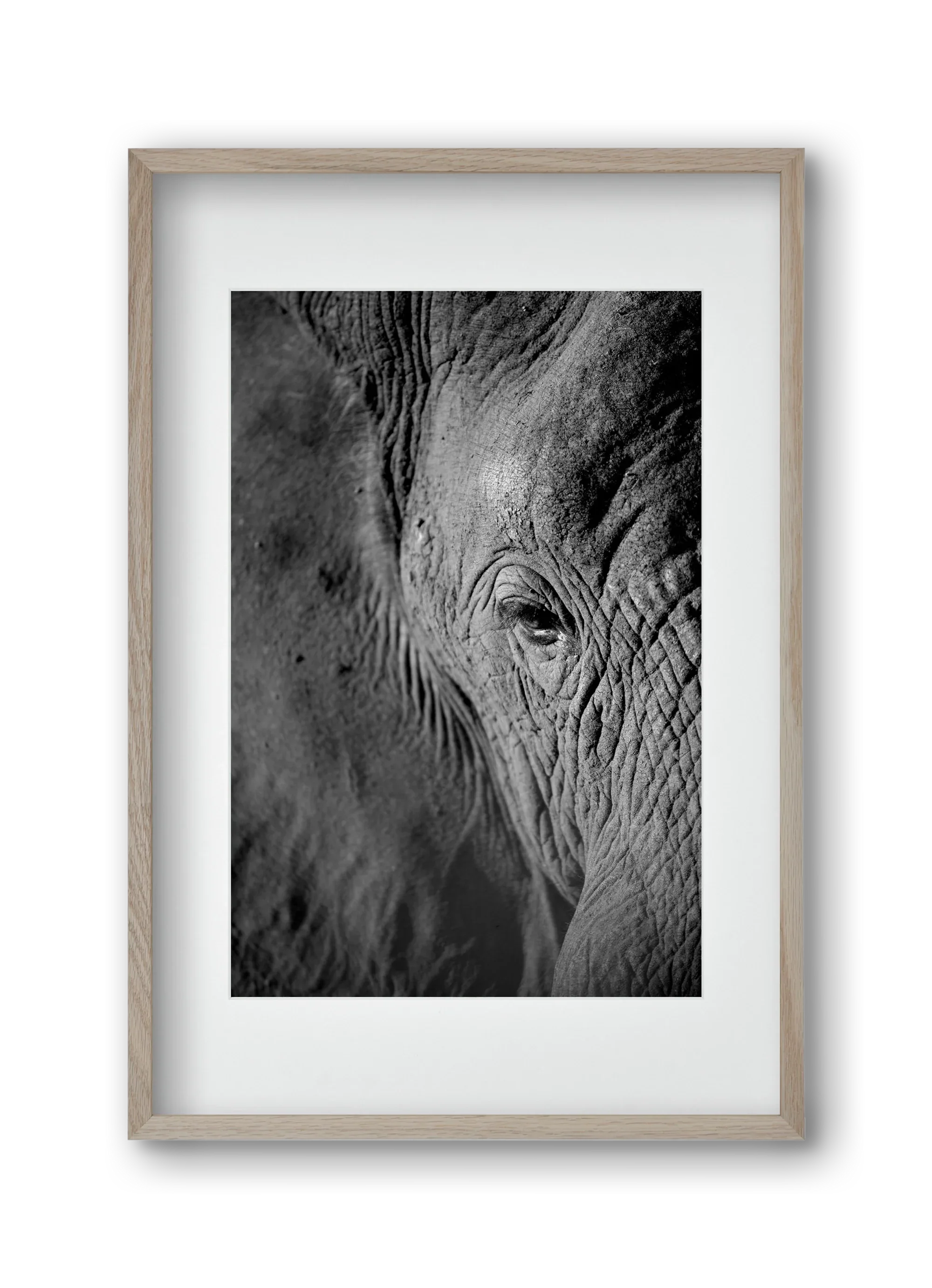 african dream - artbridge
