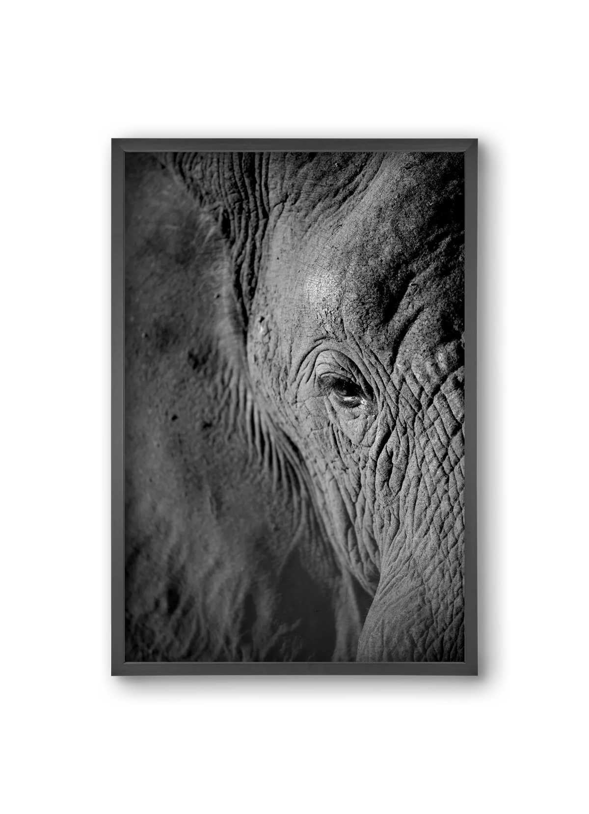 african dream - artbridge