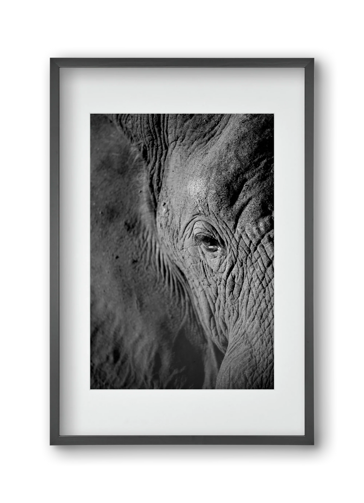 african dream - artbridge