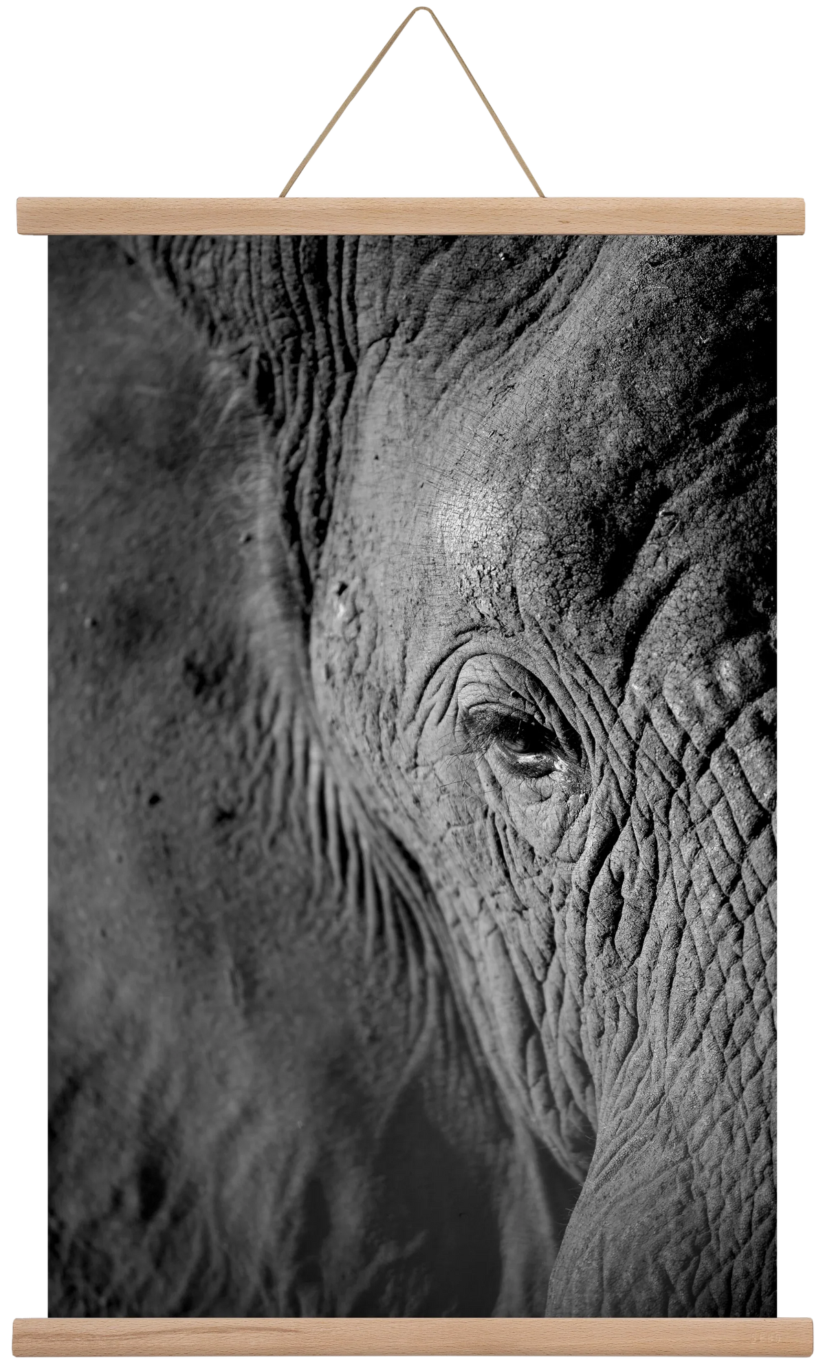 african dream - artbridge