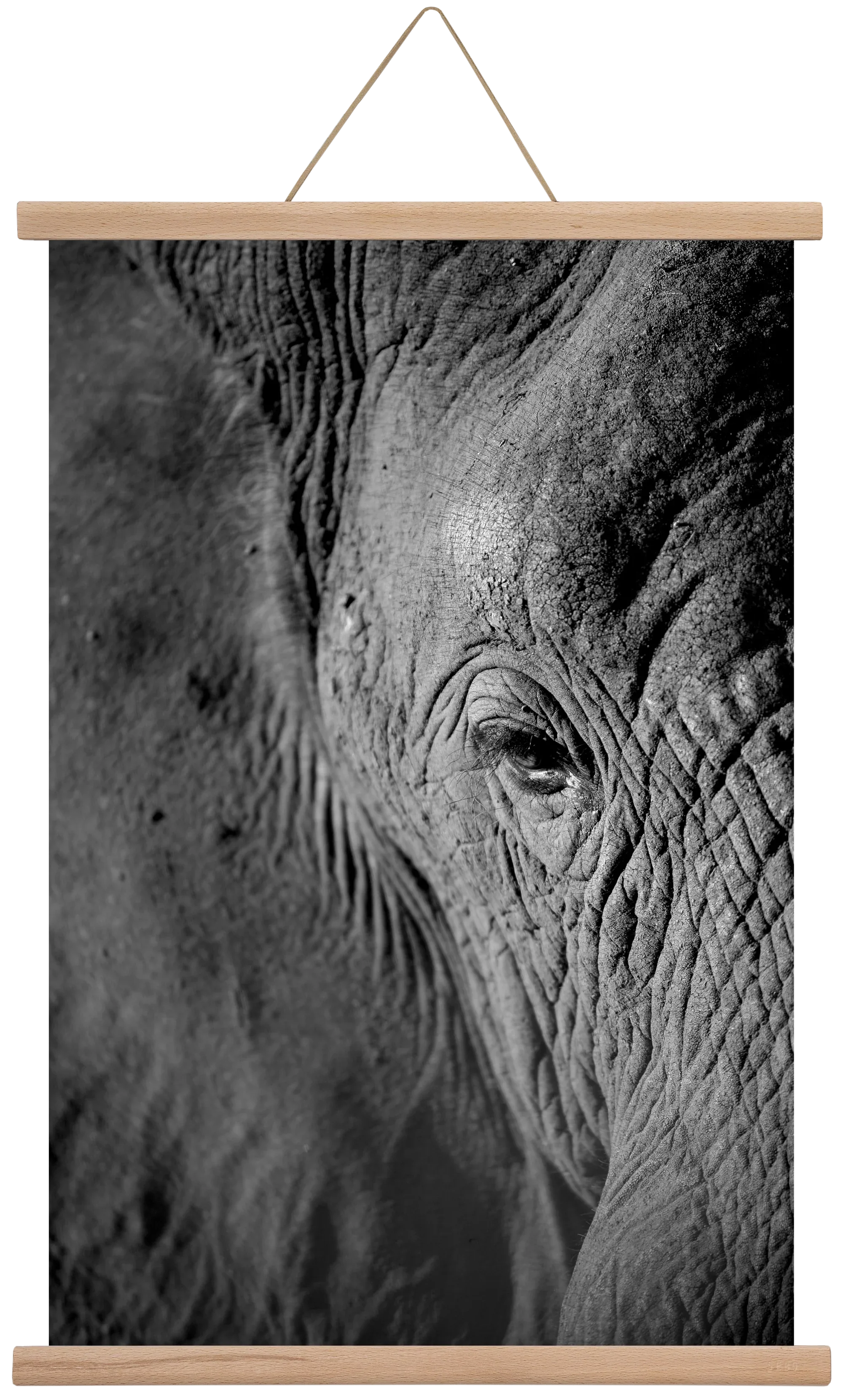 african dream - artbridge