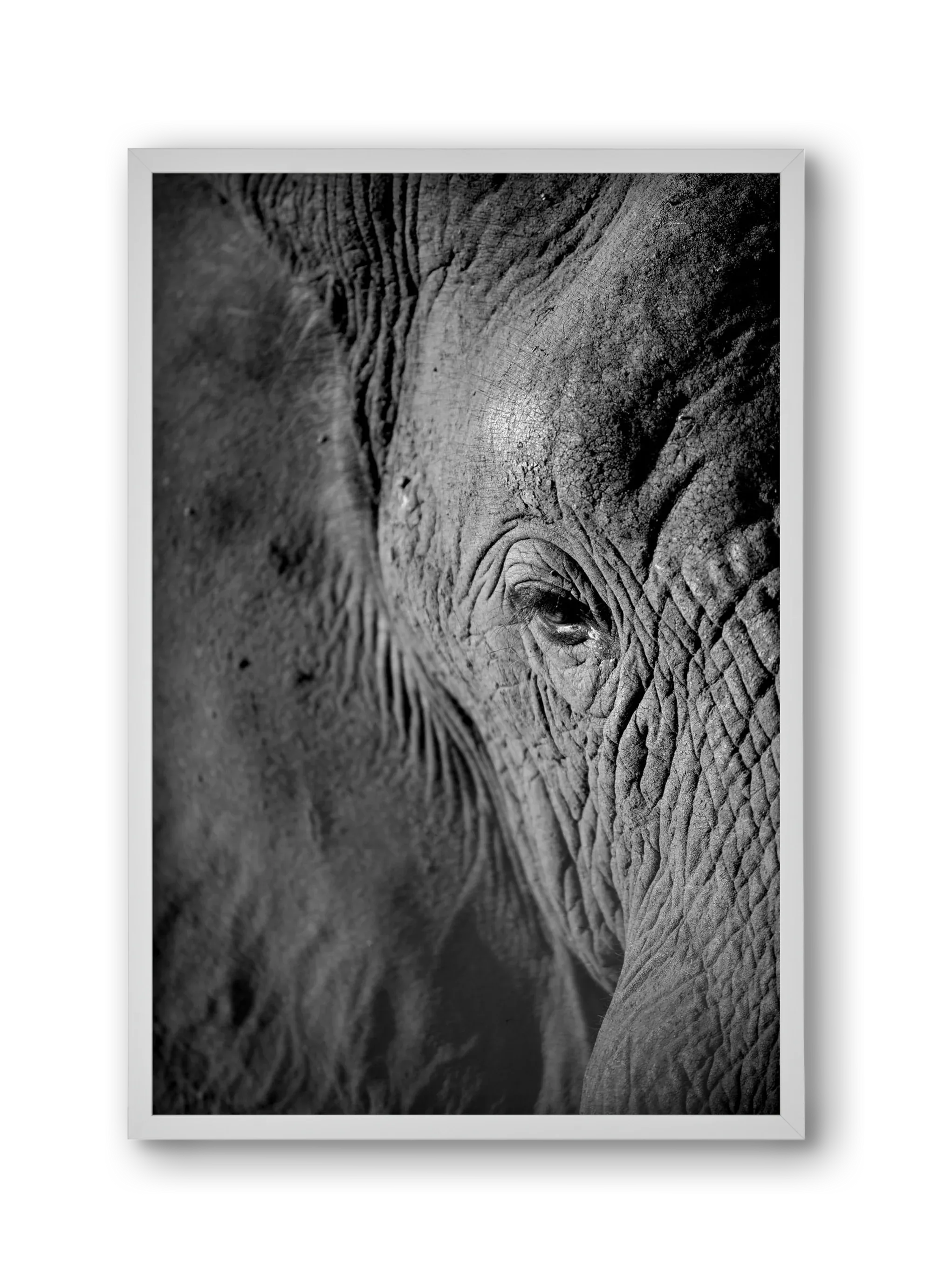 african dream - artbridge