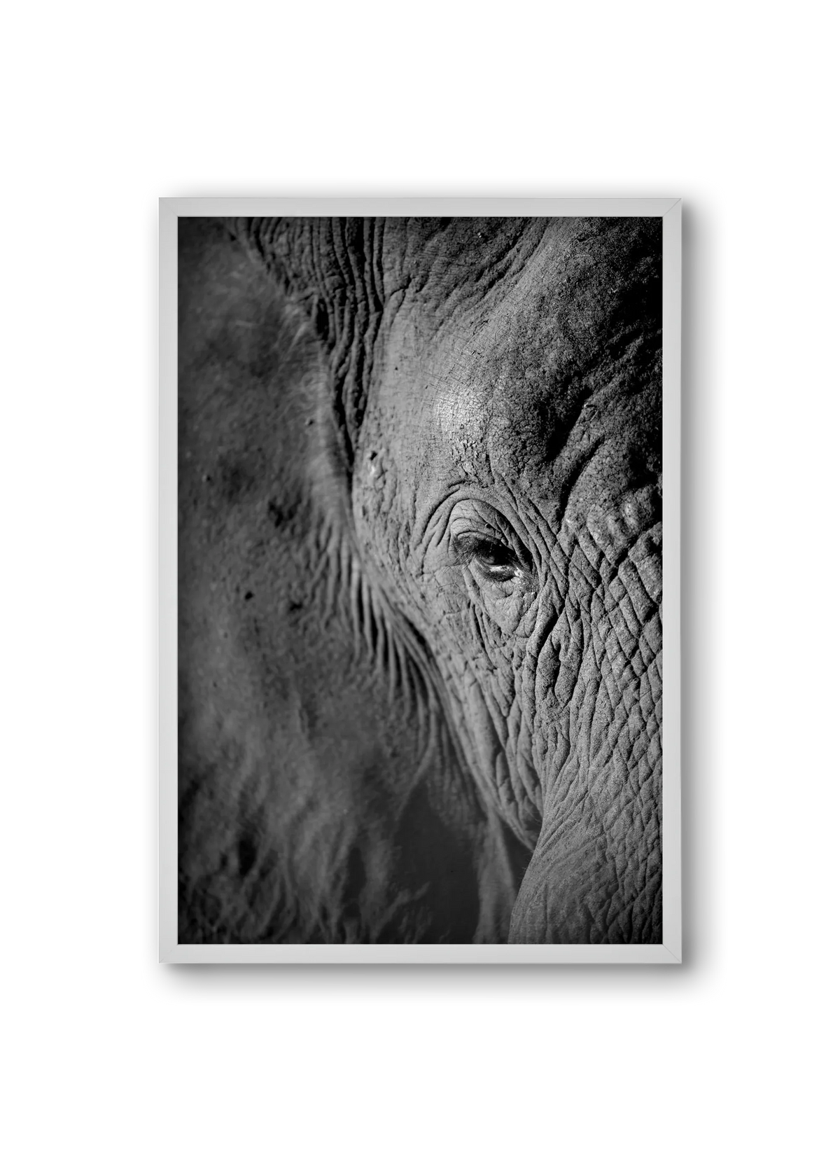 african dream - artbridge