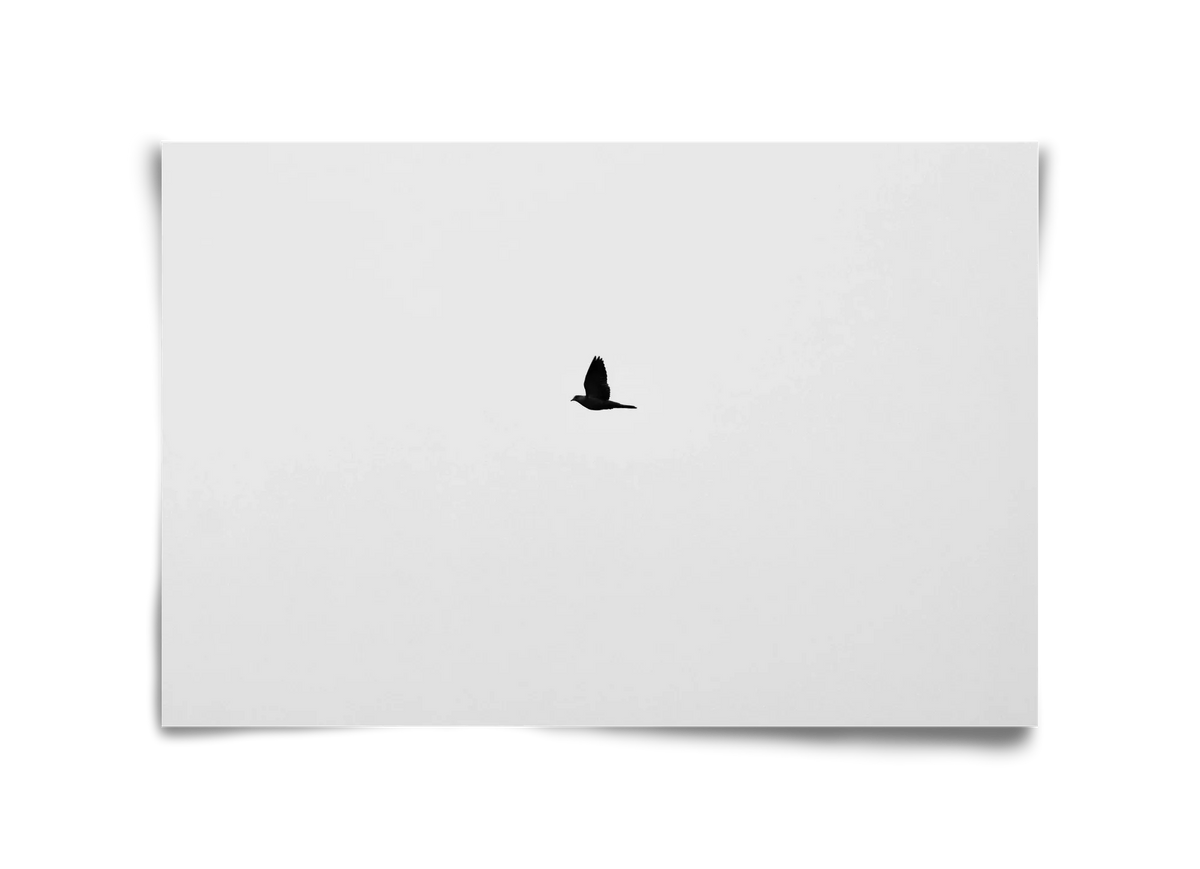 Sound - artbridge