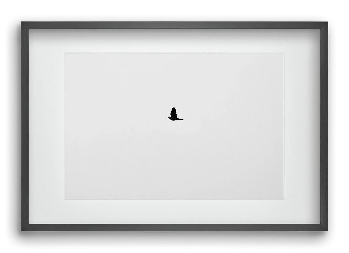 Sound - artbridge